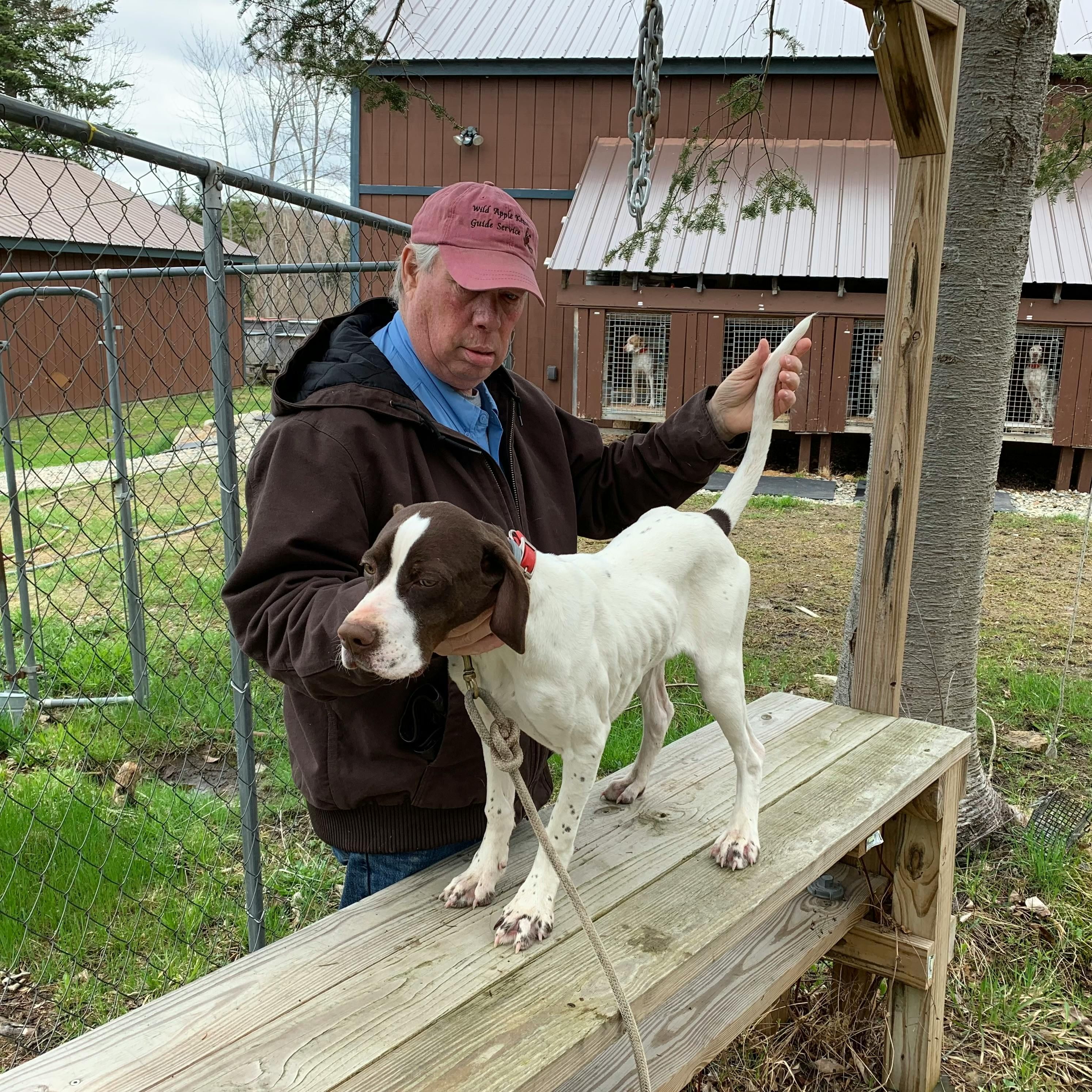 #274 | Choosing The Right Bird Dog for You with Craig Doherty episode artwork