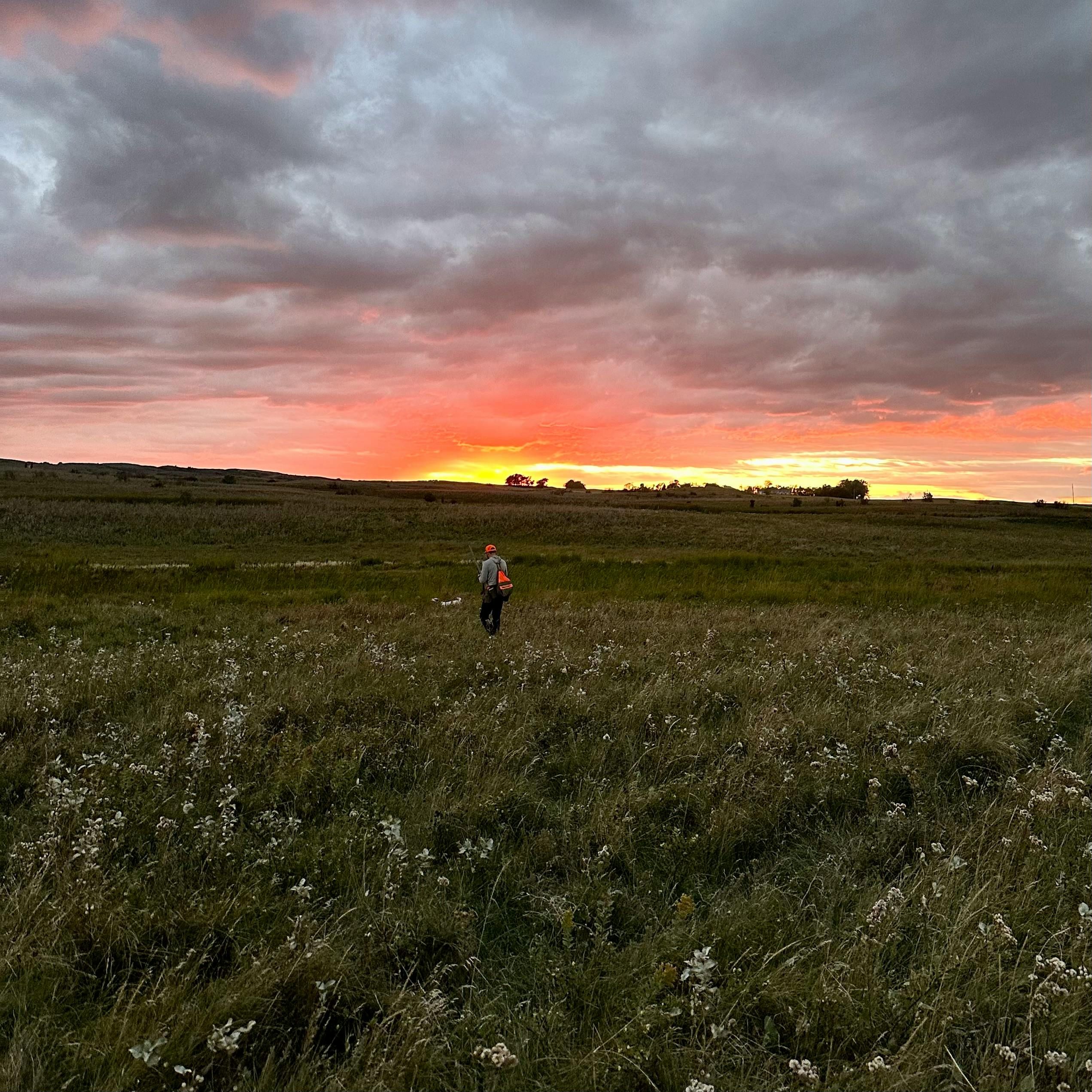 #322 | Public Lands Advocacy, Birdshot Survey & Giveaway Updates episode artwork