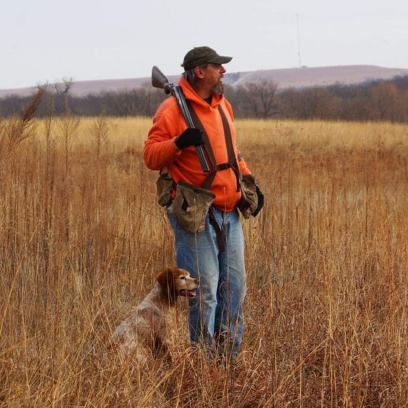 #258 | Quail Hunting, Bird Dogs and more with Mike Sheffer episode artwork