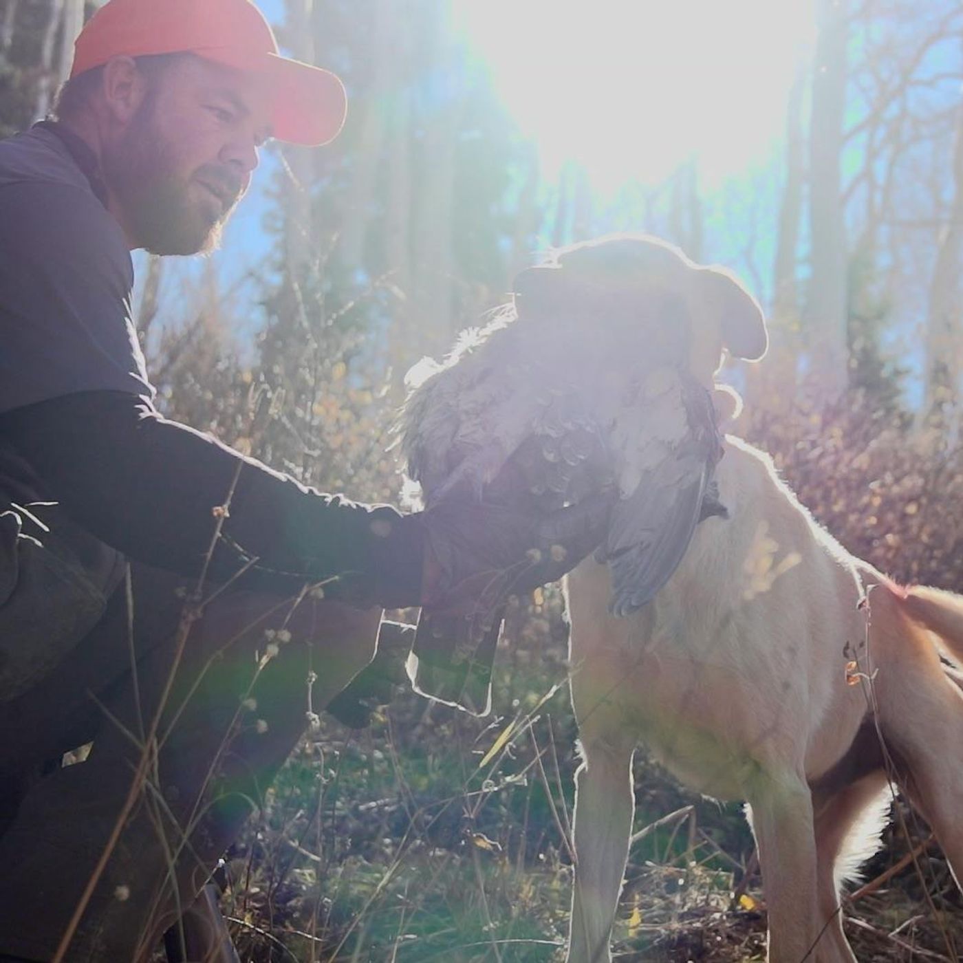 #283 | Western Upland Game Birds with Jason Robinson episode artwork