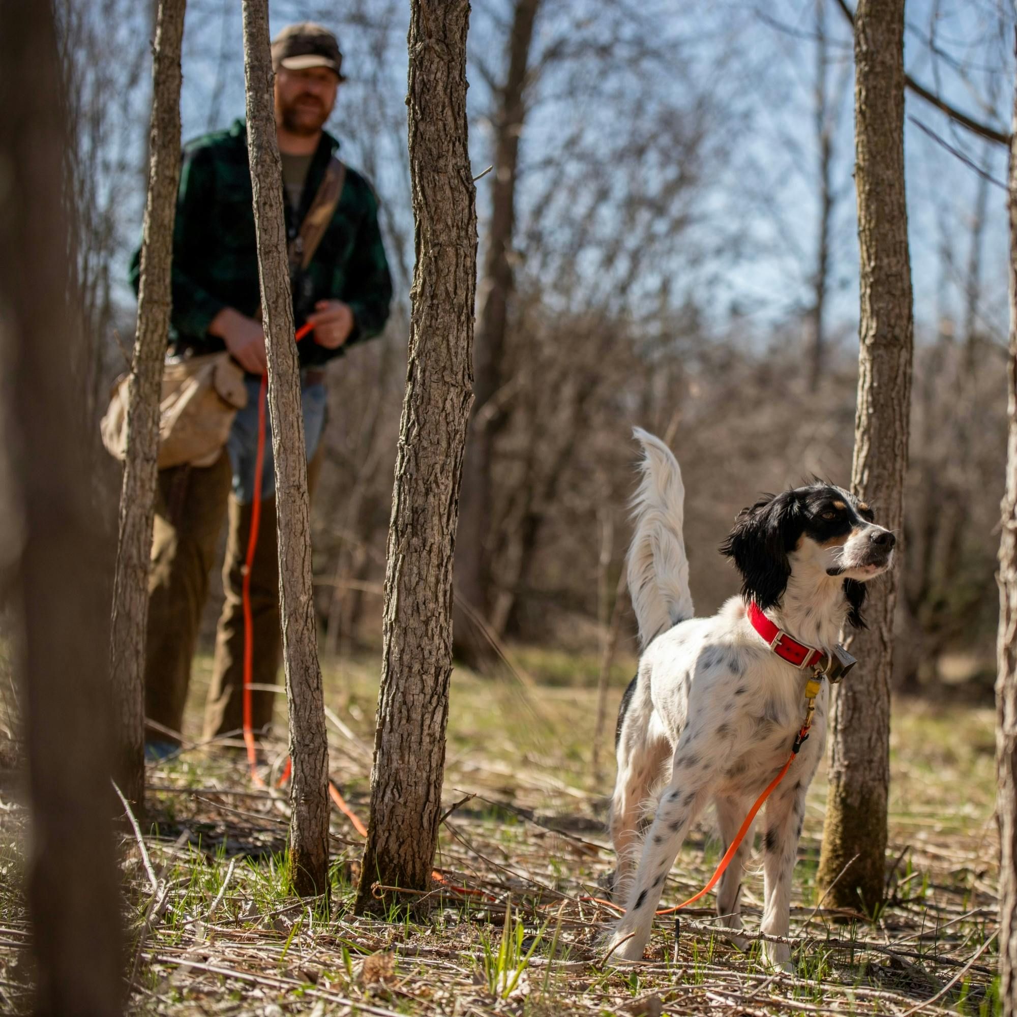 #281 | Jeremy Moore on Building Trust and Experience with your Bird Dog episode artwork