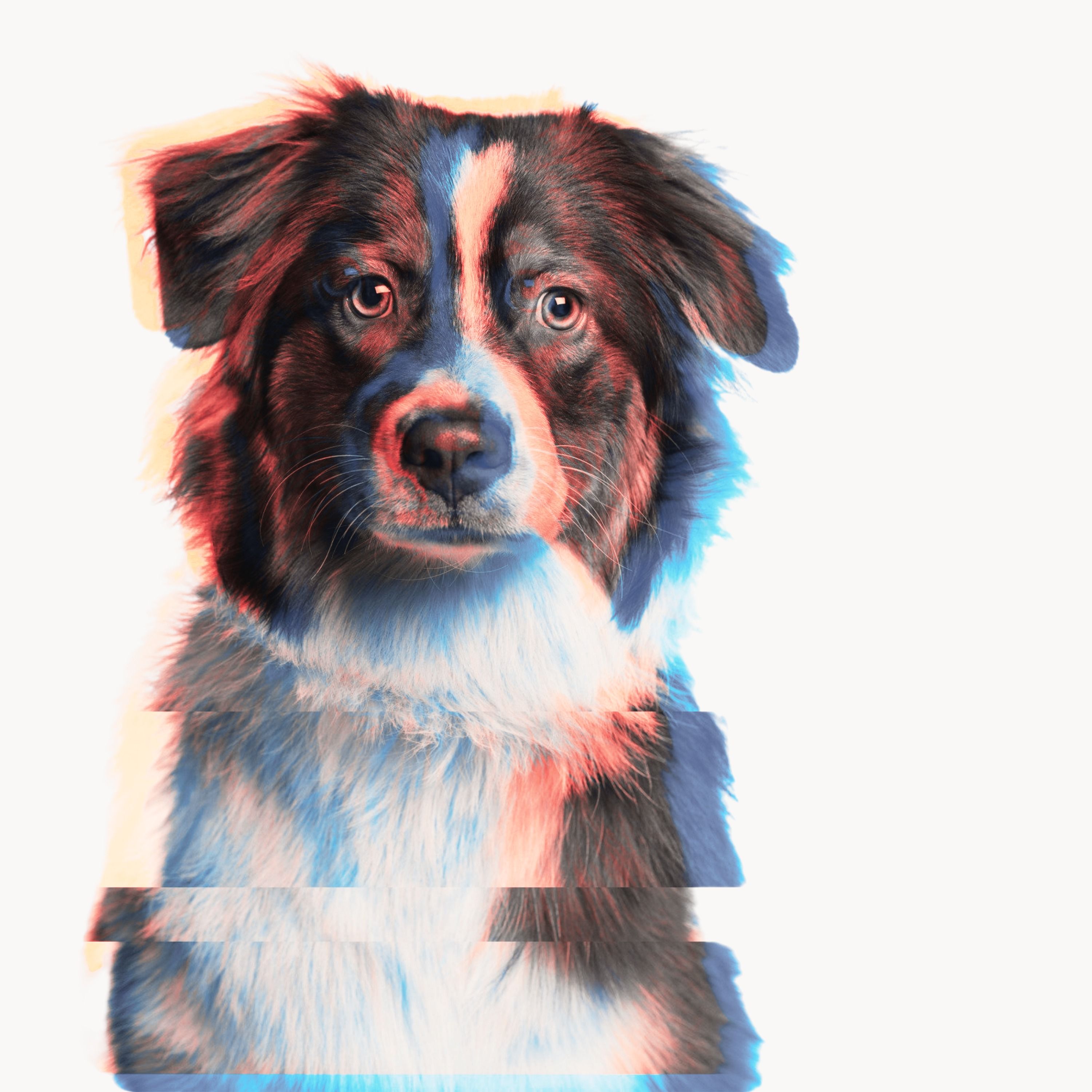 Hunden er menneskets bedste ven – men er det gensidigt? · Peter Sandøe episode artwork
