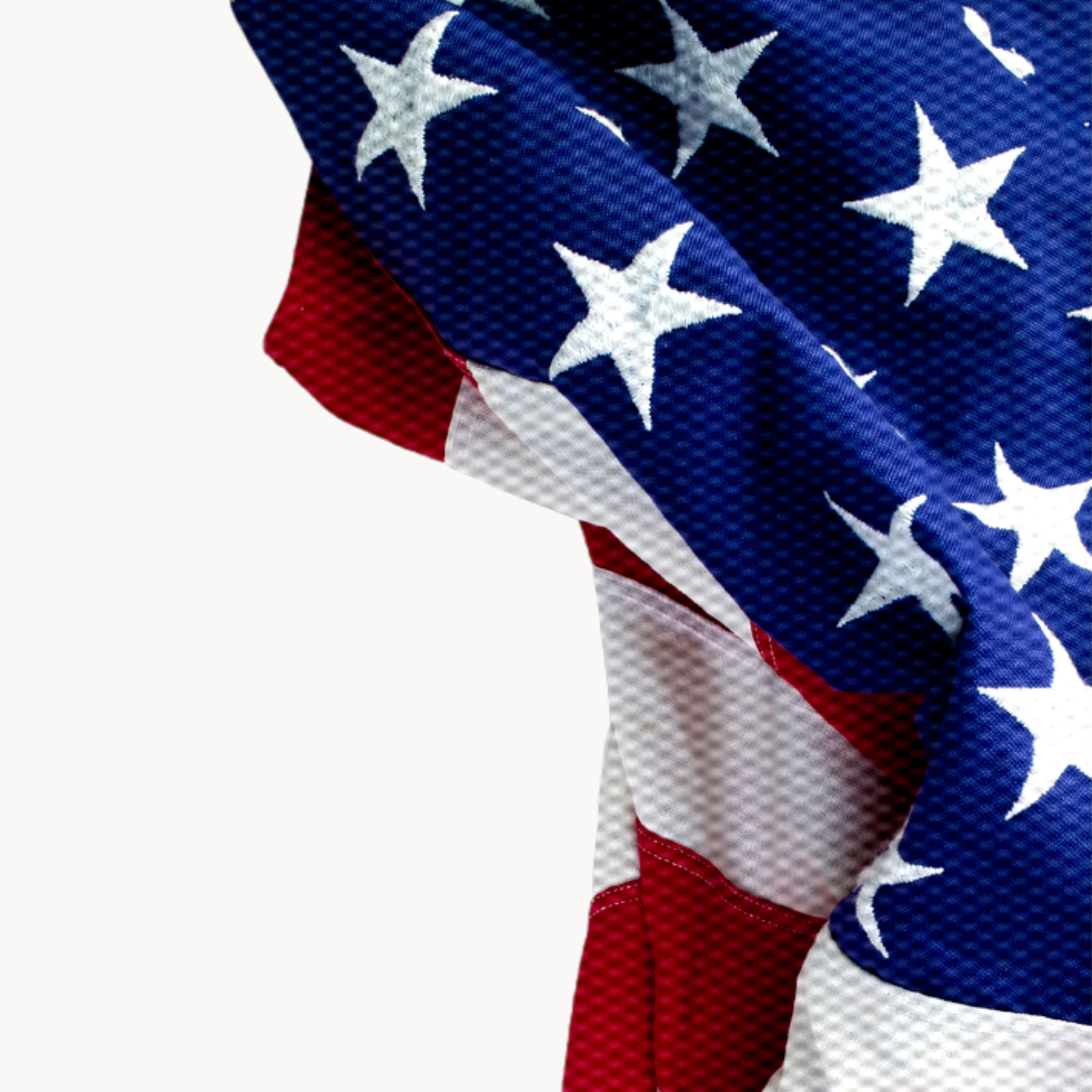 Amerikansk politik: Normaliteten bag cirkusset · Frederik Hjorth