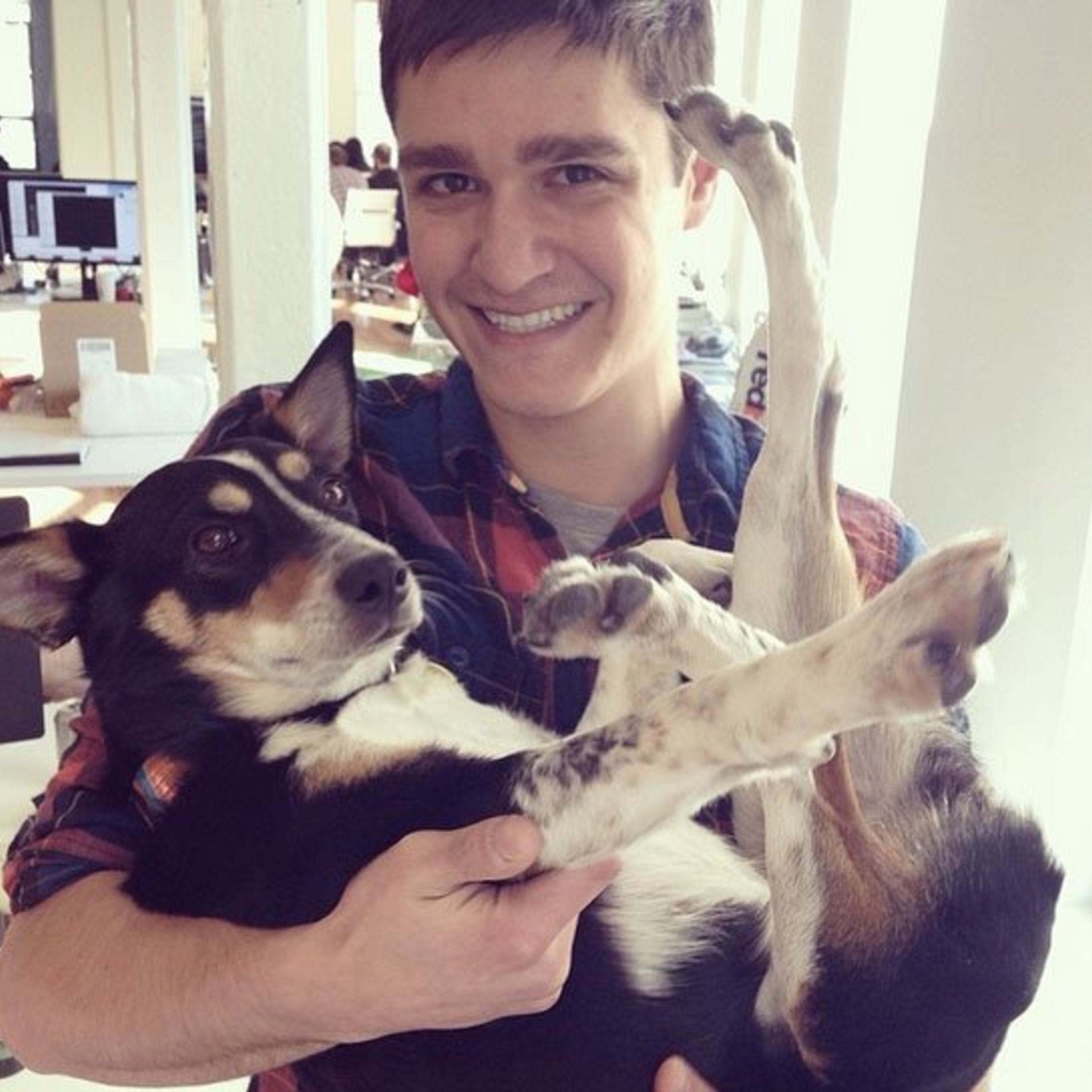 How BarkBox use famous internet dogs on Instagram to built a big business (Ep 4)