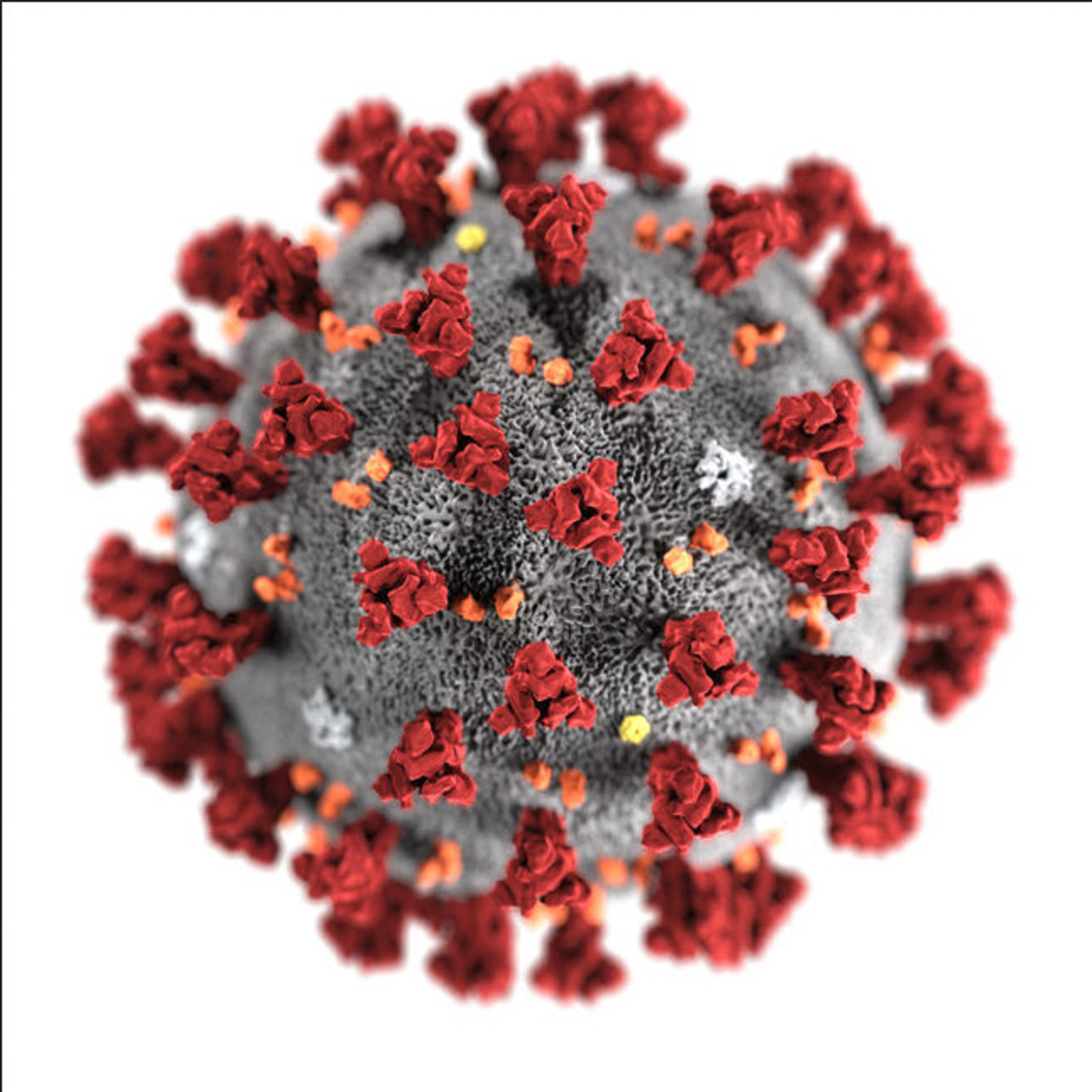 Responding to COVID-19, Pandemics, and Other Challenges in Rural Education