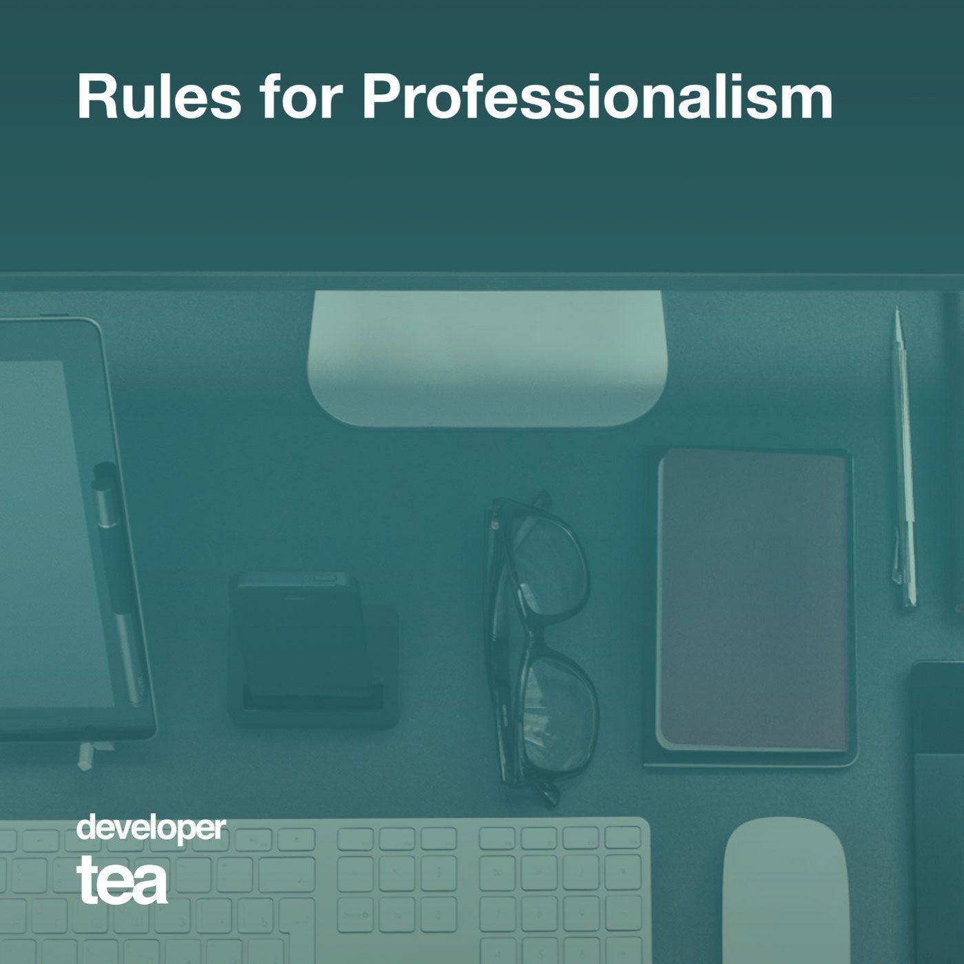 27: Ensuring Professionalism - Rules I Practice