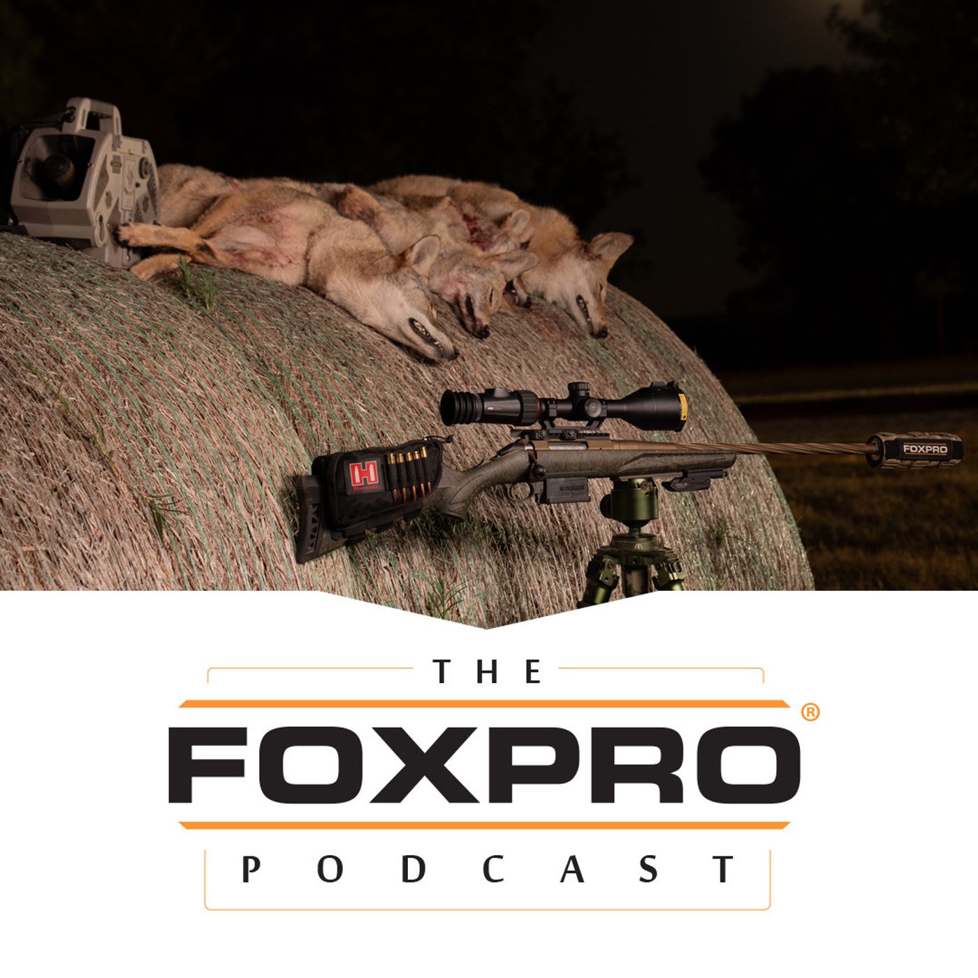 Calling Tactics for Transient vs Resident Coyotes