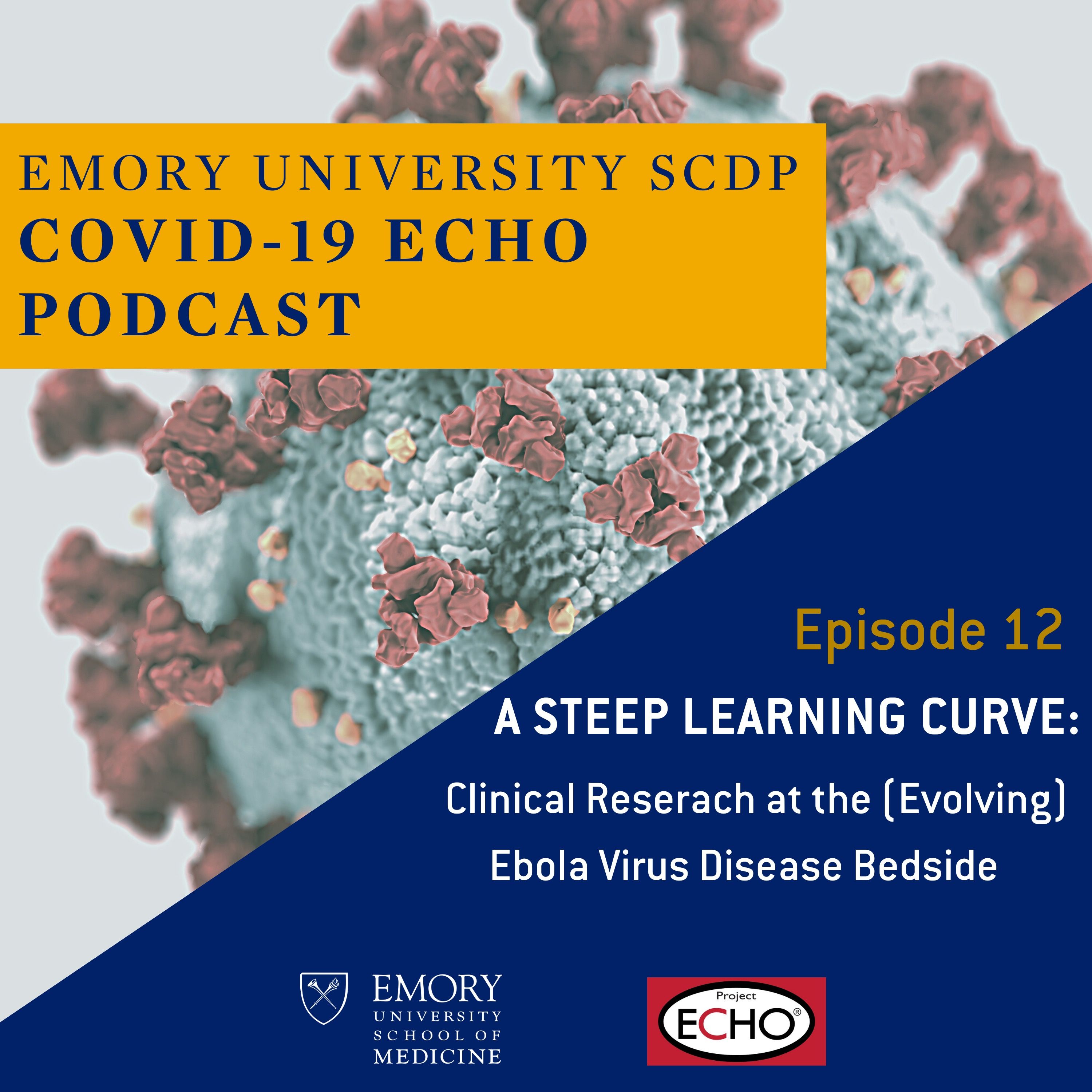 A Steep Learning Curve: Clinical Research at the (Evolving) Ebola Virus Disease Bedside