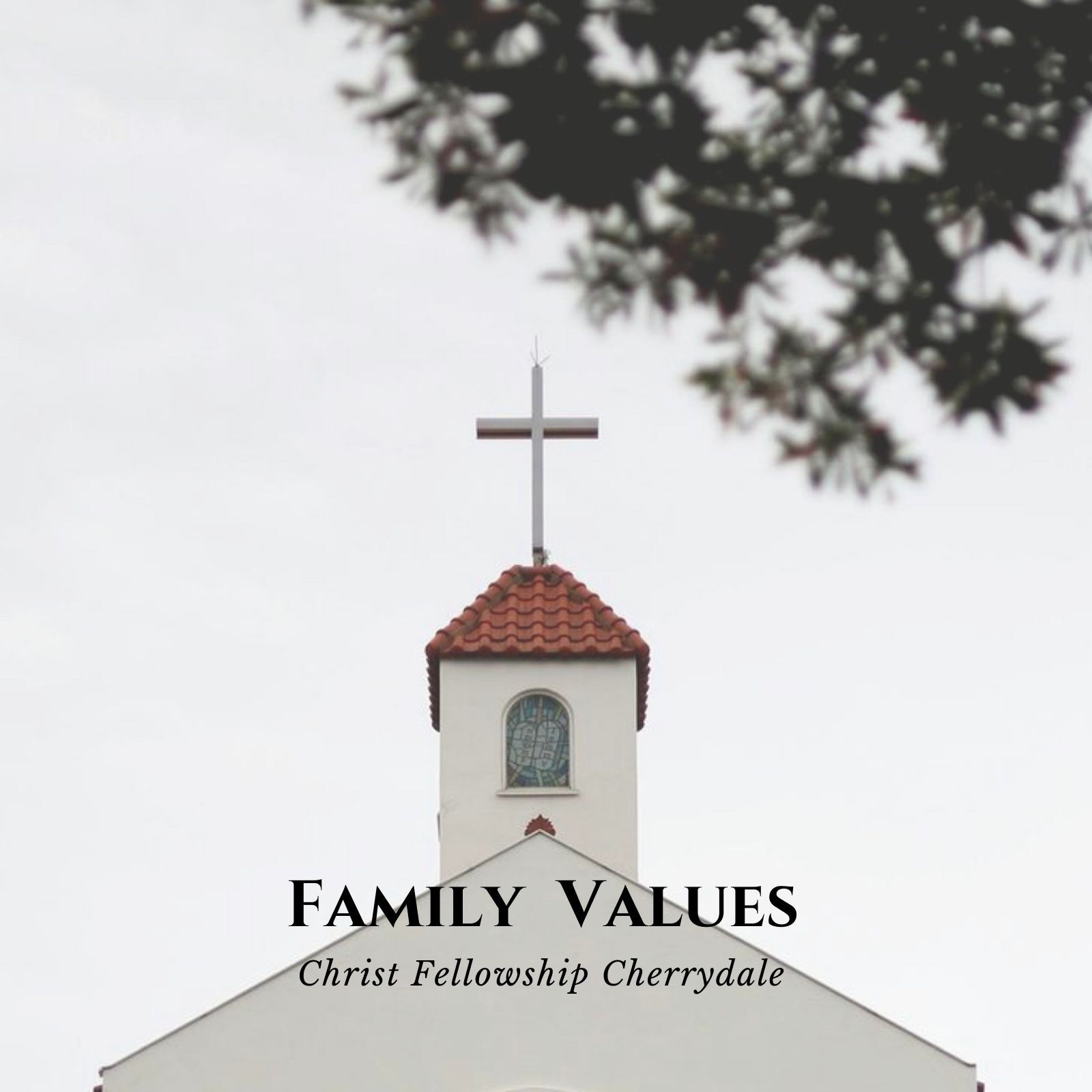 We Do Hard Things [Family Values]