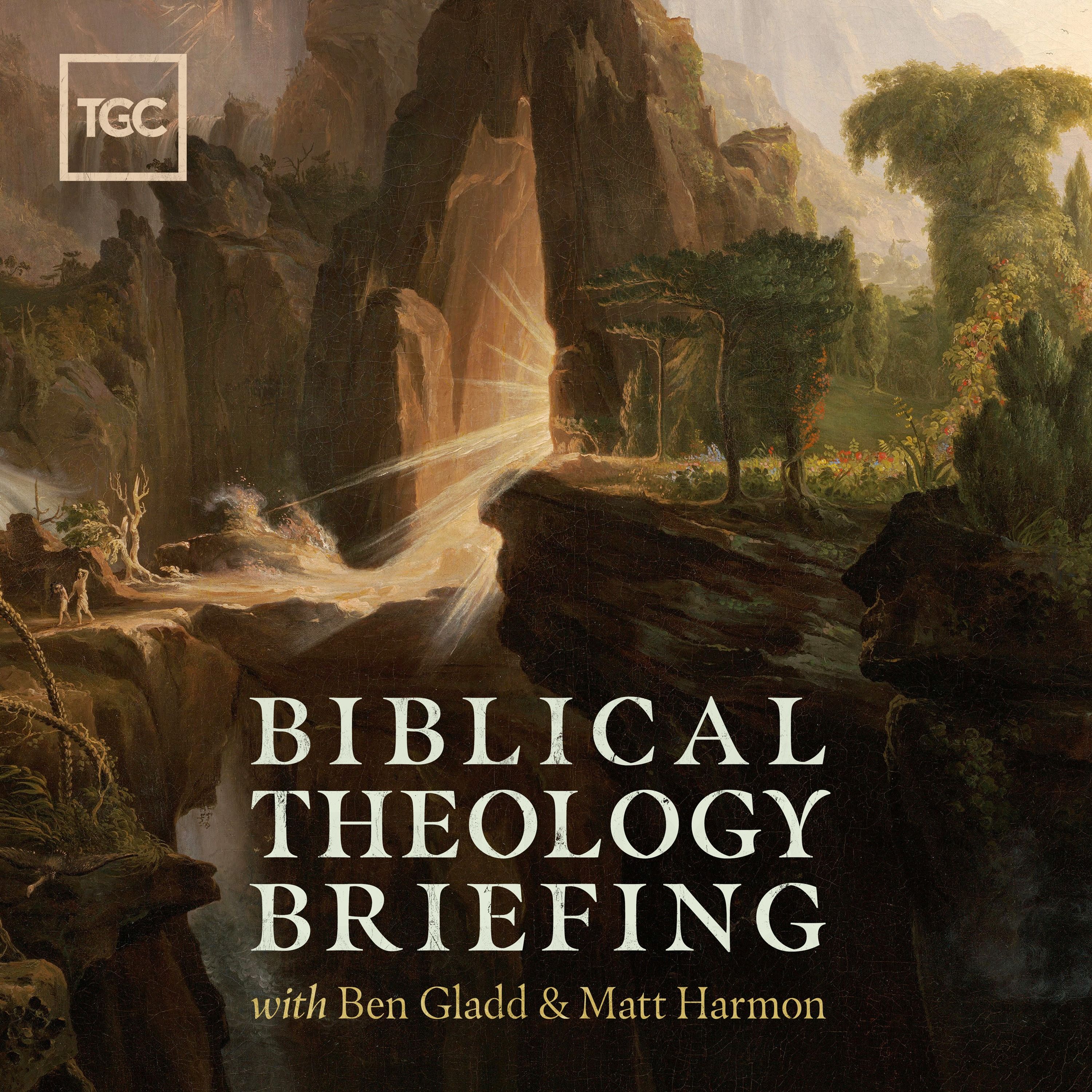 Lessons from a Seasoned Scholar with Thomas Schreiner episode artwork