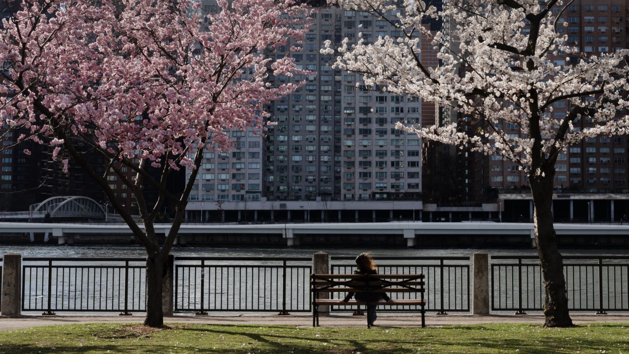 NYC Spring Staycations, Cherry Blossoms and a 24-Hour Dance Party