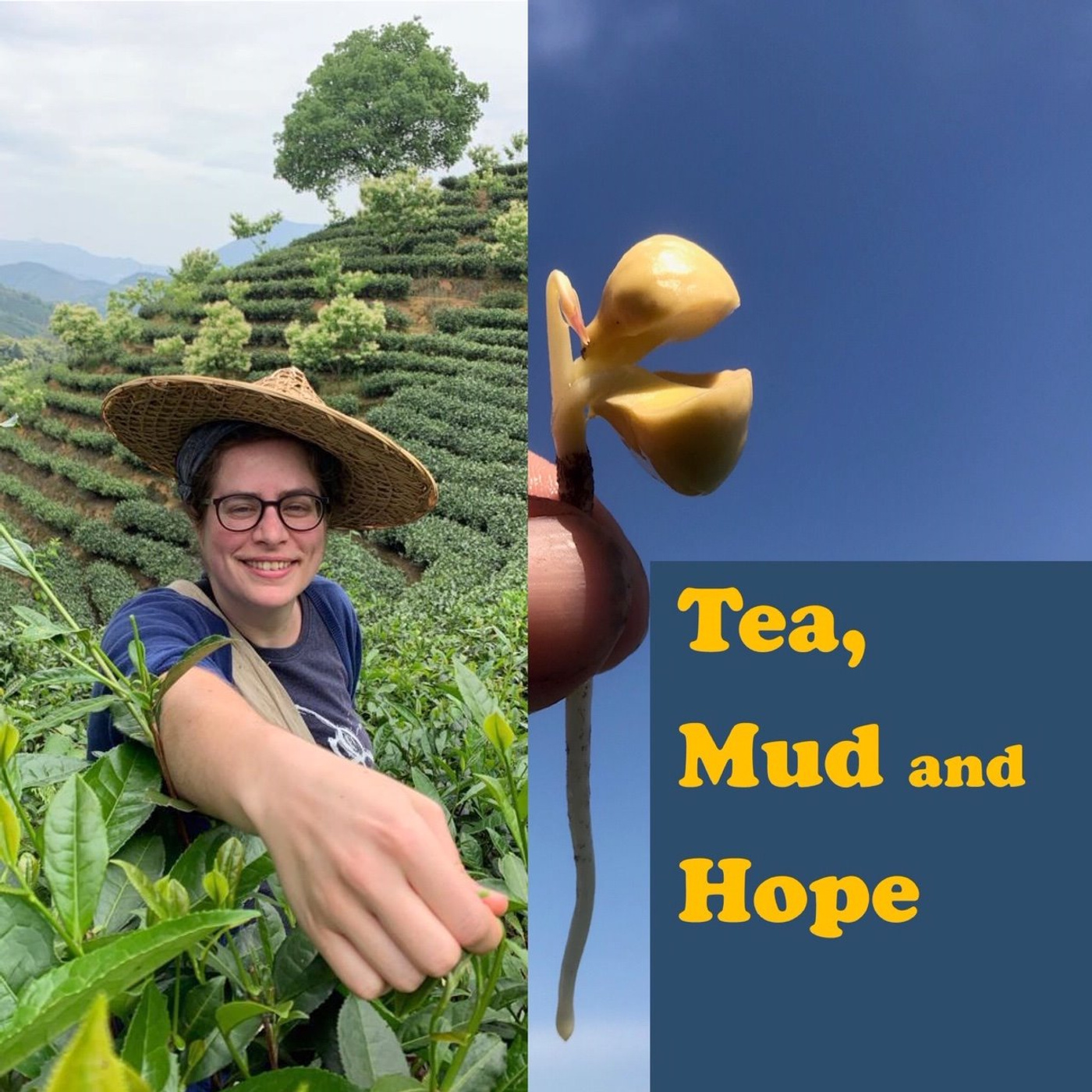 Tea travel with Marjolein Raijmakers
