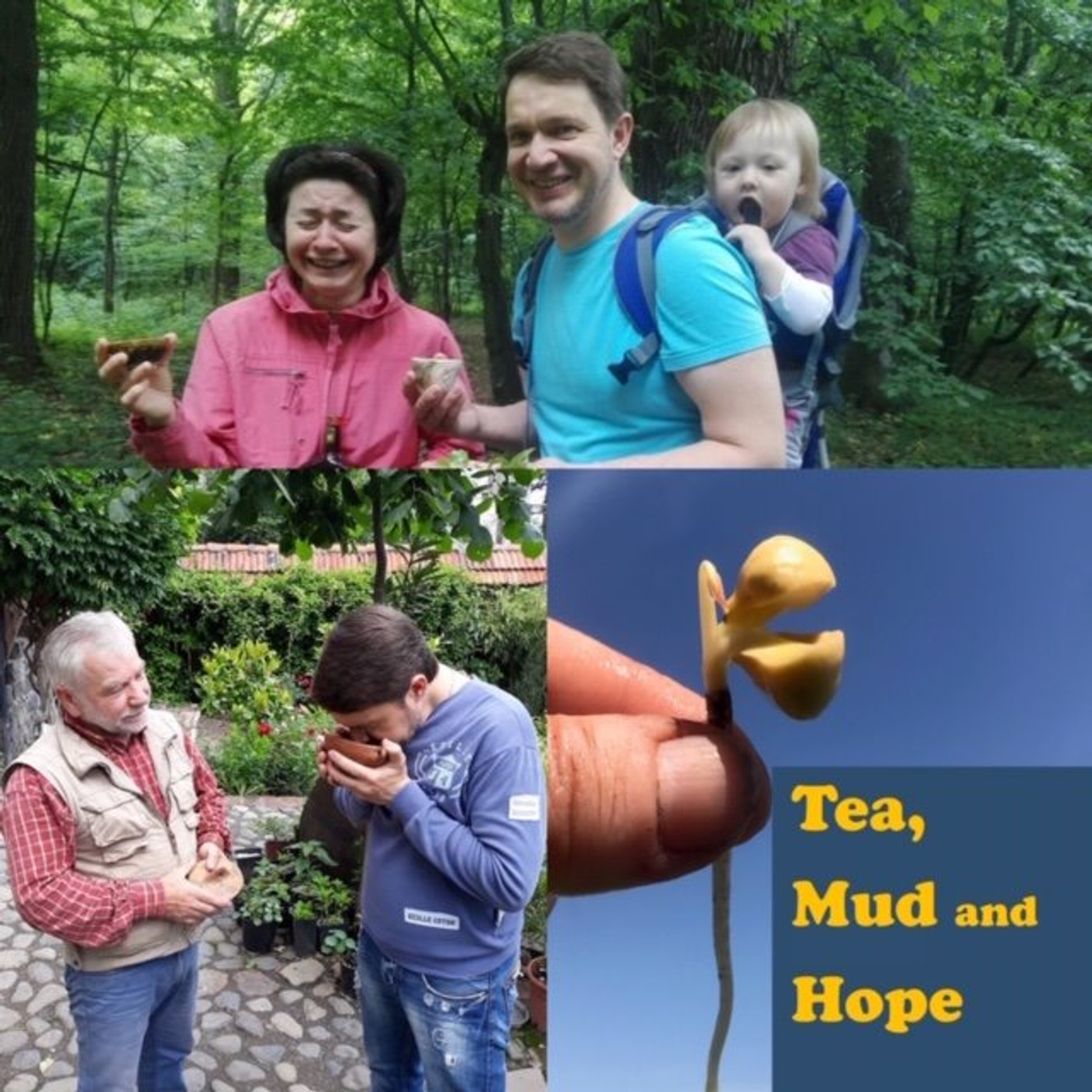 Community tea growing in the Ukraine with special guest Maksym Malyhin