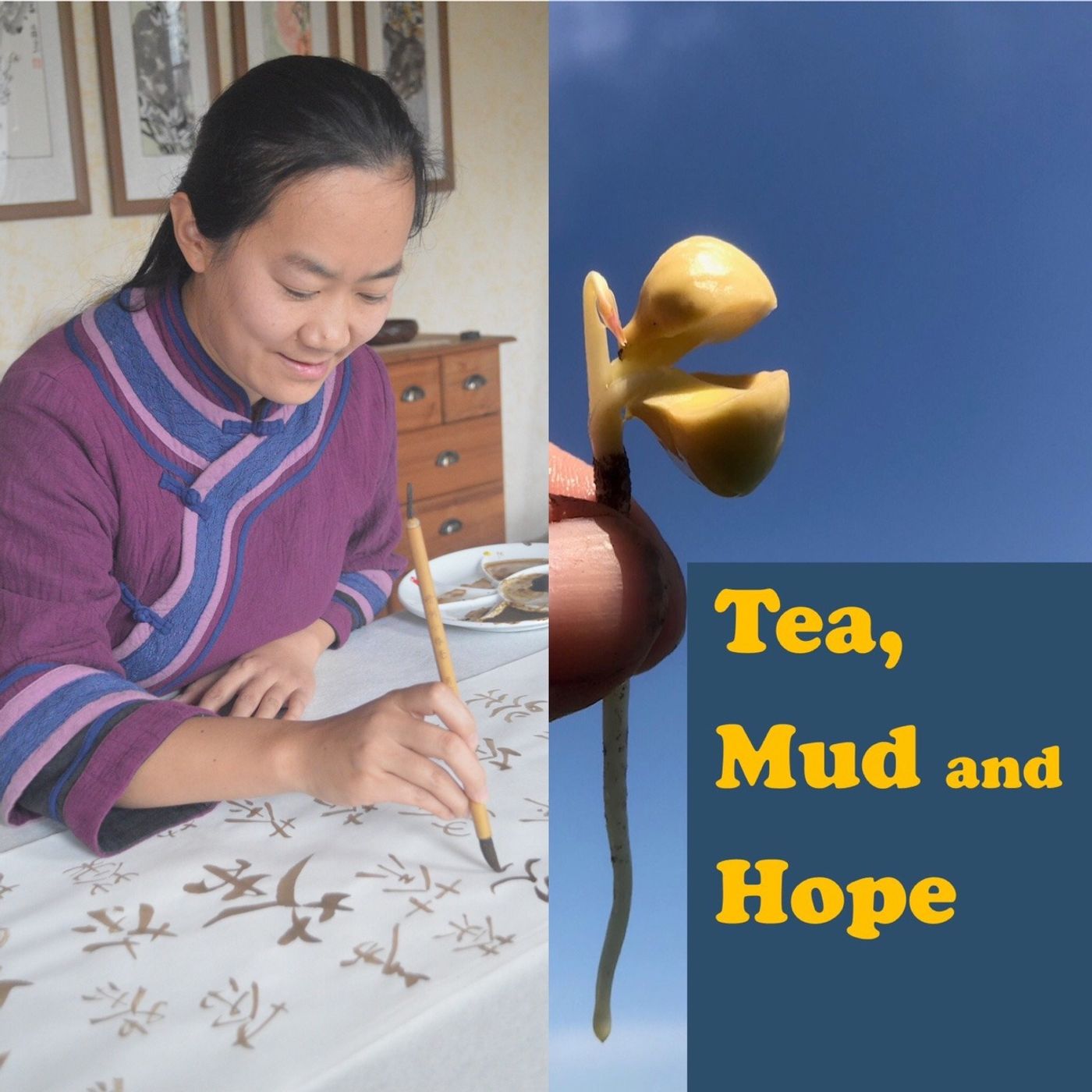 Tea history with the lovely Wenzhuo Liu