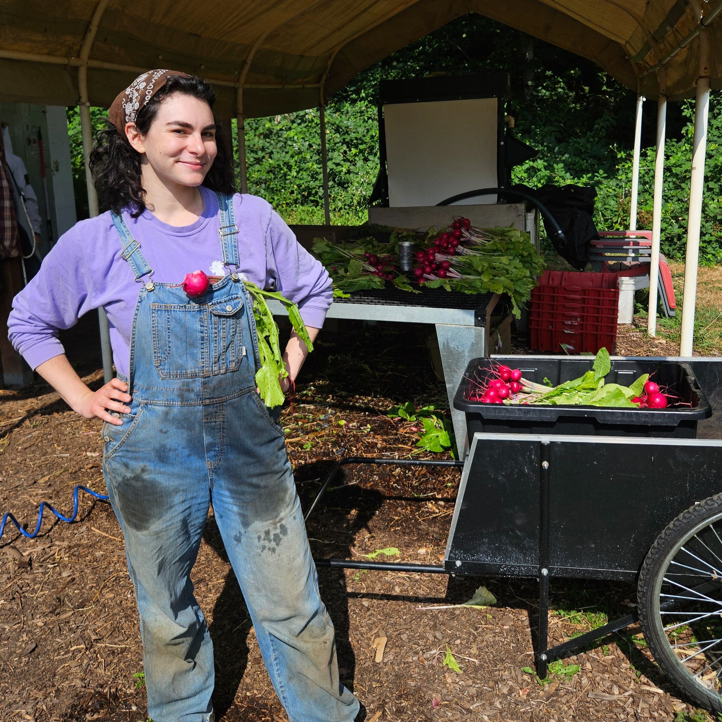 How farmers are changing cropping strategies in response to a changing climate with Masha Vernik