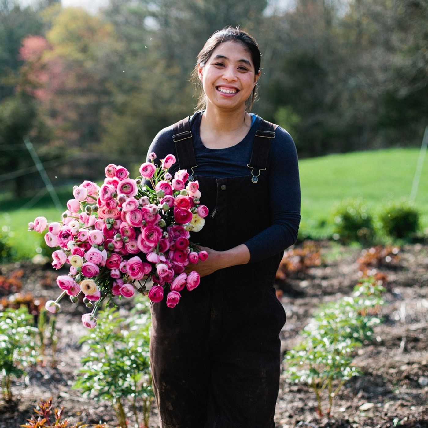 Scaling up and growing 60,000 dahlias with Grace Lam of Fivefork Farms in Massachusetts
