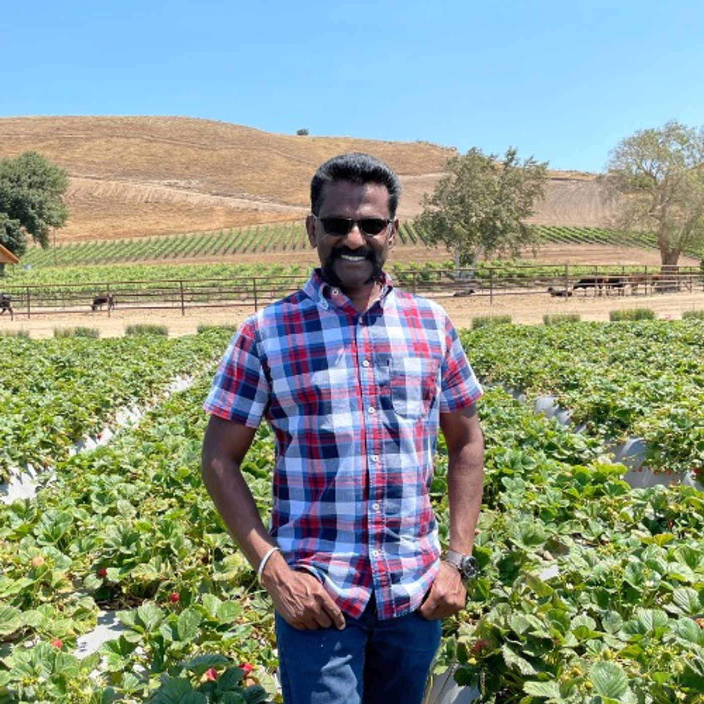 Ways to keep pests and diseases in check without spraying with Dr. Surendra Dara of Oregon State University