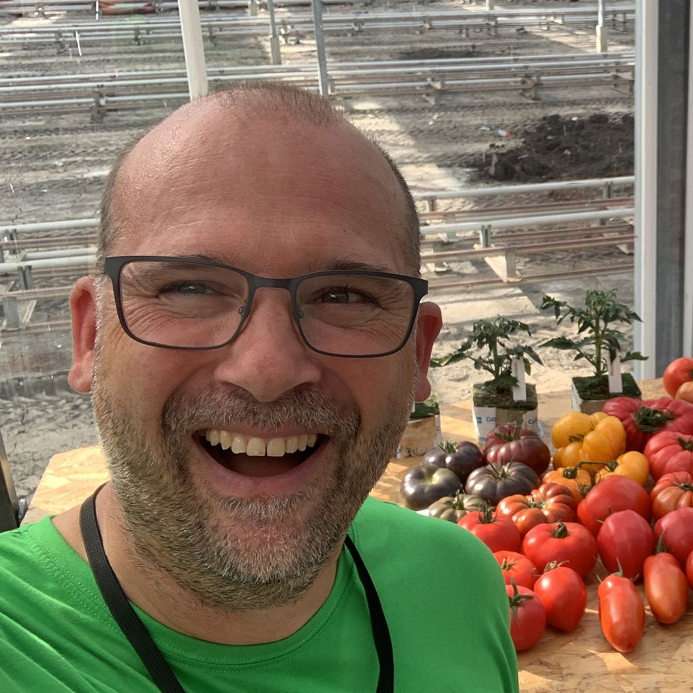 Answering greenhouse tomato frequently asked questions with Martijn van Stee of Enza Zaden in Holland