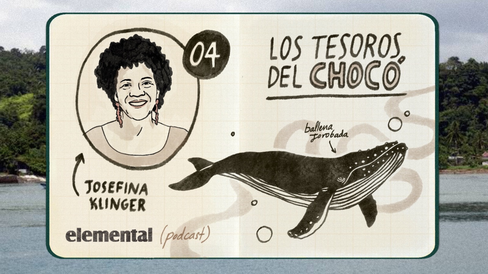 Los tesoros del Chocó