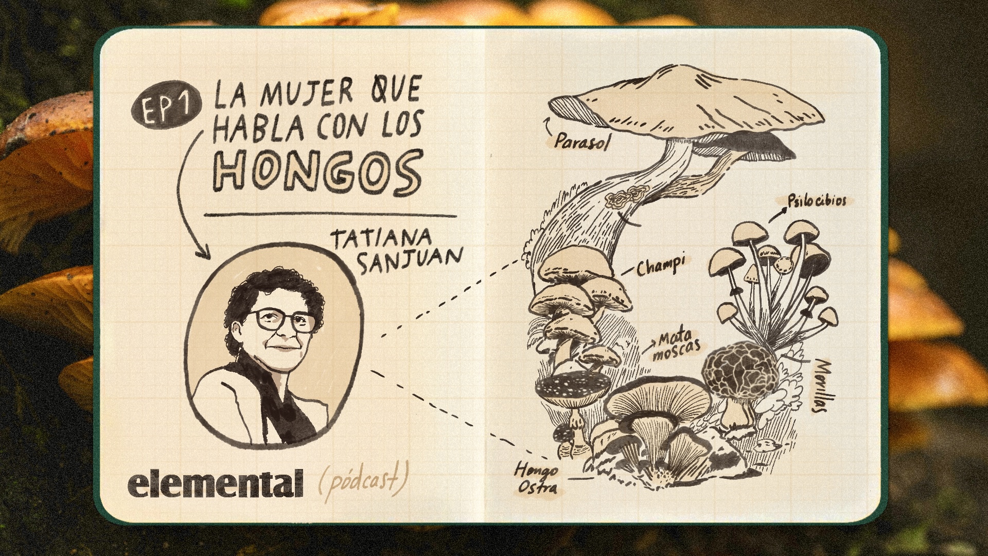 La mujer que habla con los hongos