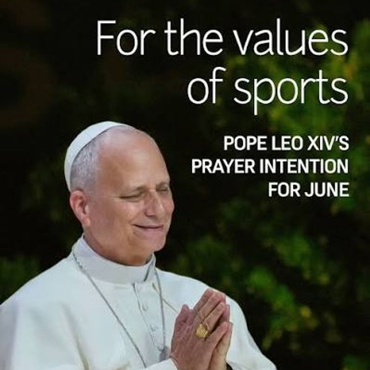 The Value of Sports: Pope Leo's June Intention – Fr. Reed Flood – 06/29/2026 episode artwork