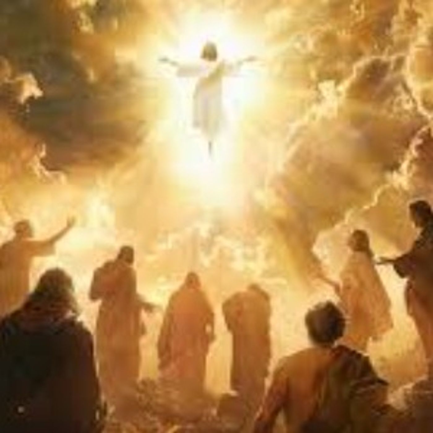 Fr. Chris Reising on the Ascension: Christ Brings Humanity Into Heaven - 05/15/2026