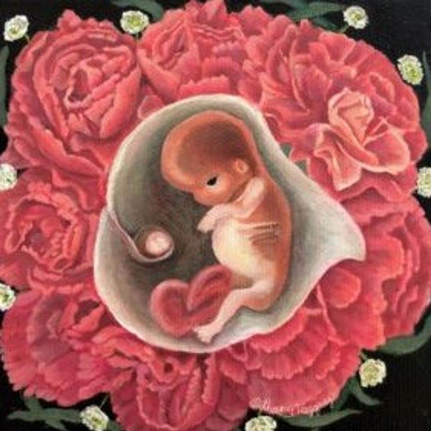Wave of Light: Remembering Babies Lost to Miscarriage on October 15 - Mary Wolf - 10/12/2026