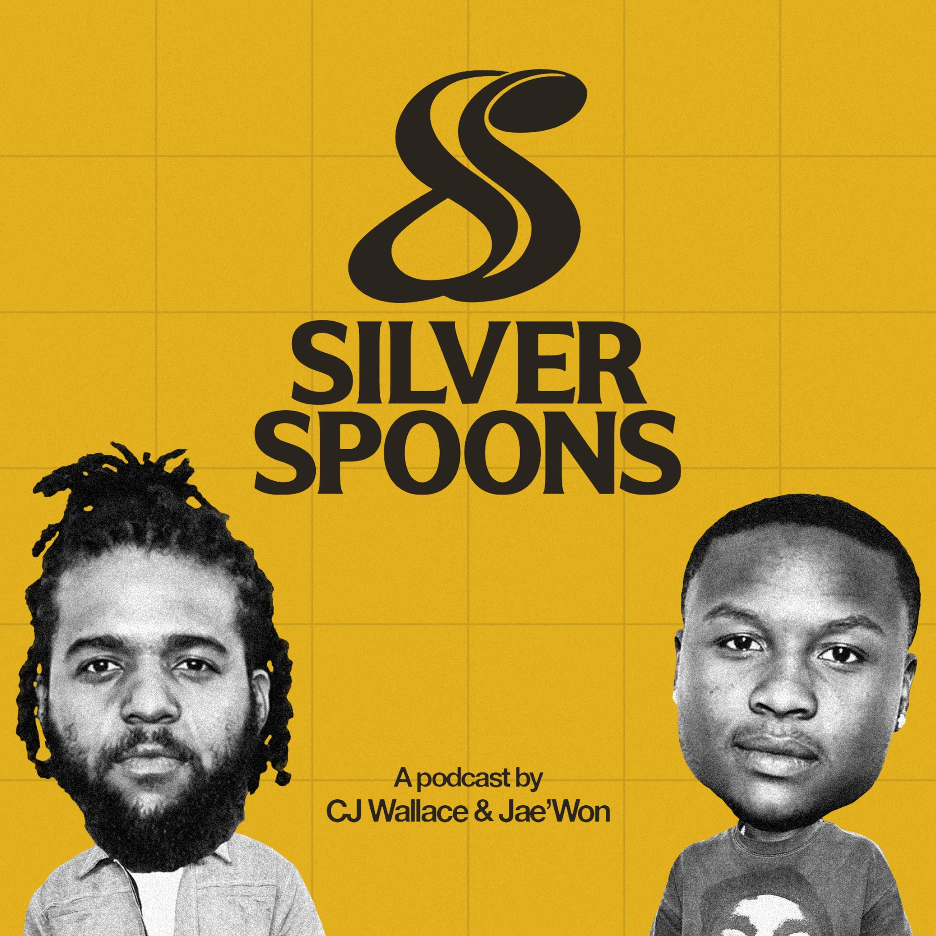 Silver Spoons