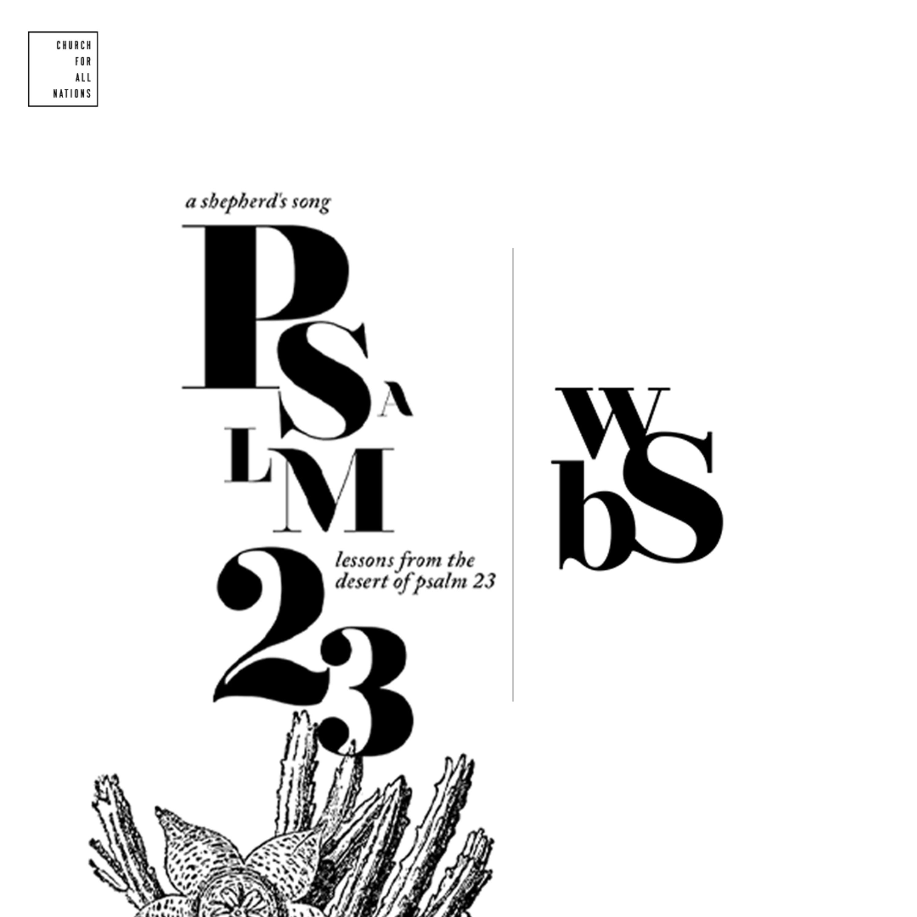 A Shepherd's Song: Lessons from the Desert of Psalm 23 // Week 6 : Psalm 23: 5
