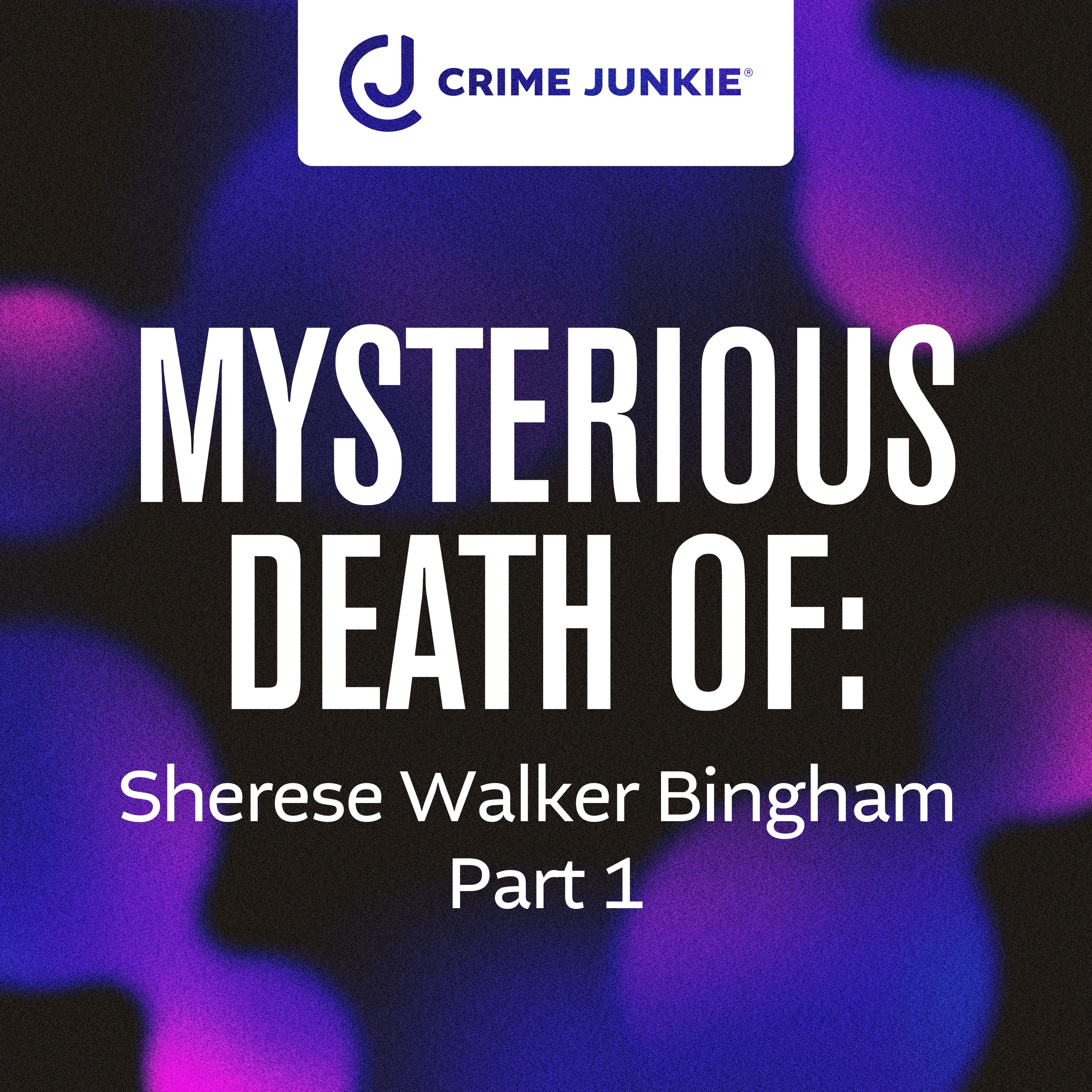 MYSTERIOUS DEATH OF: Sherese Walker Bingham Part 1 by audiochuck