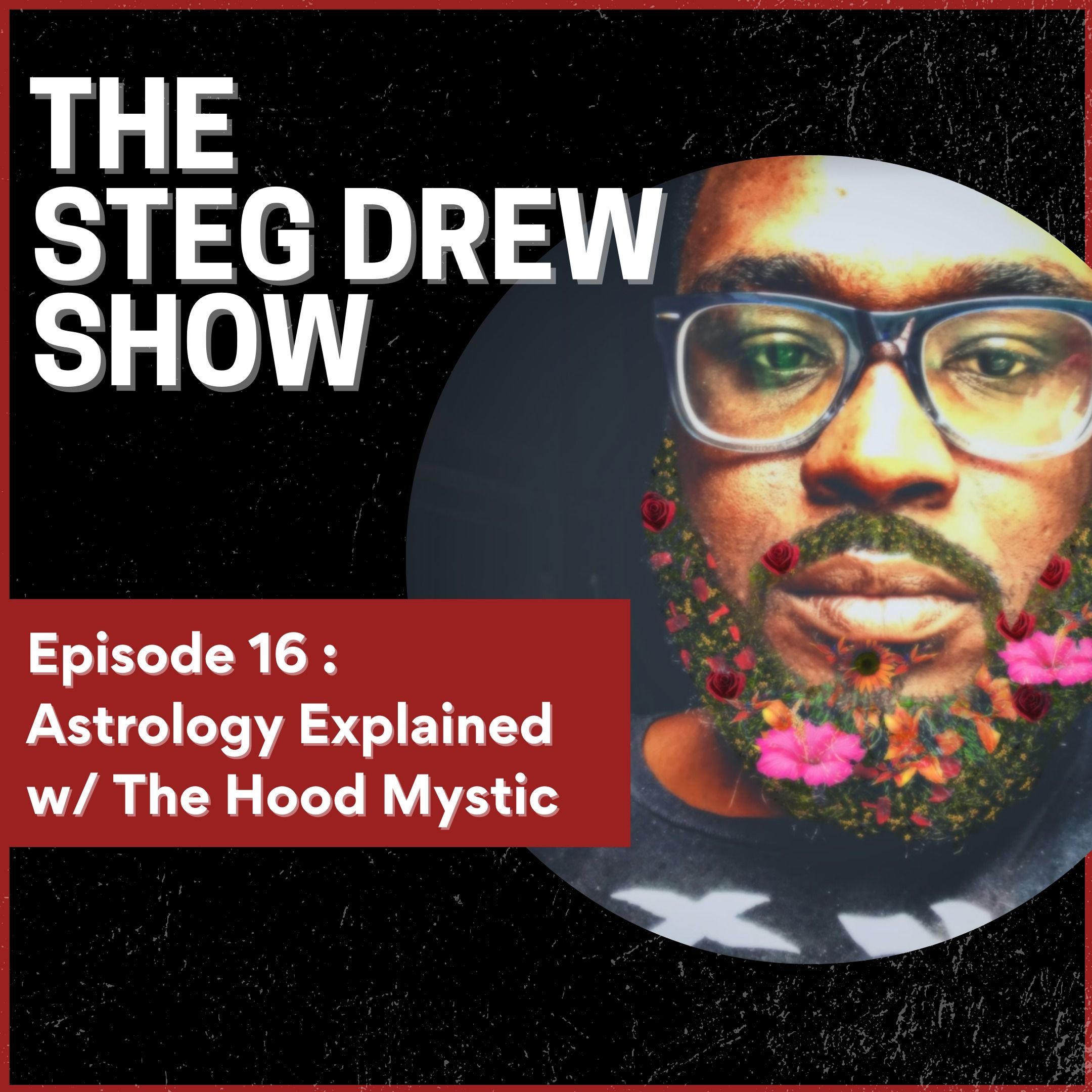 The Steg Drew Show