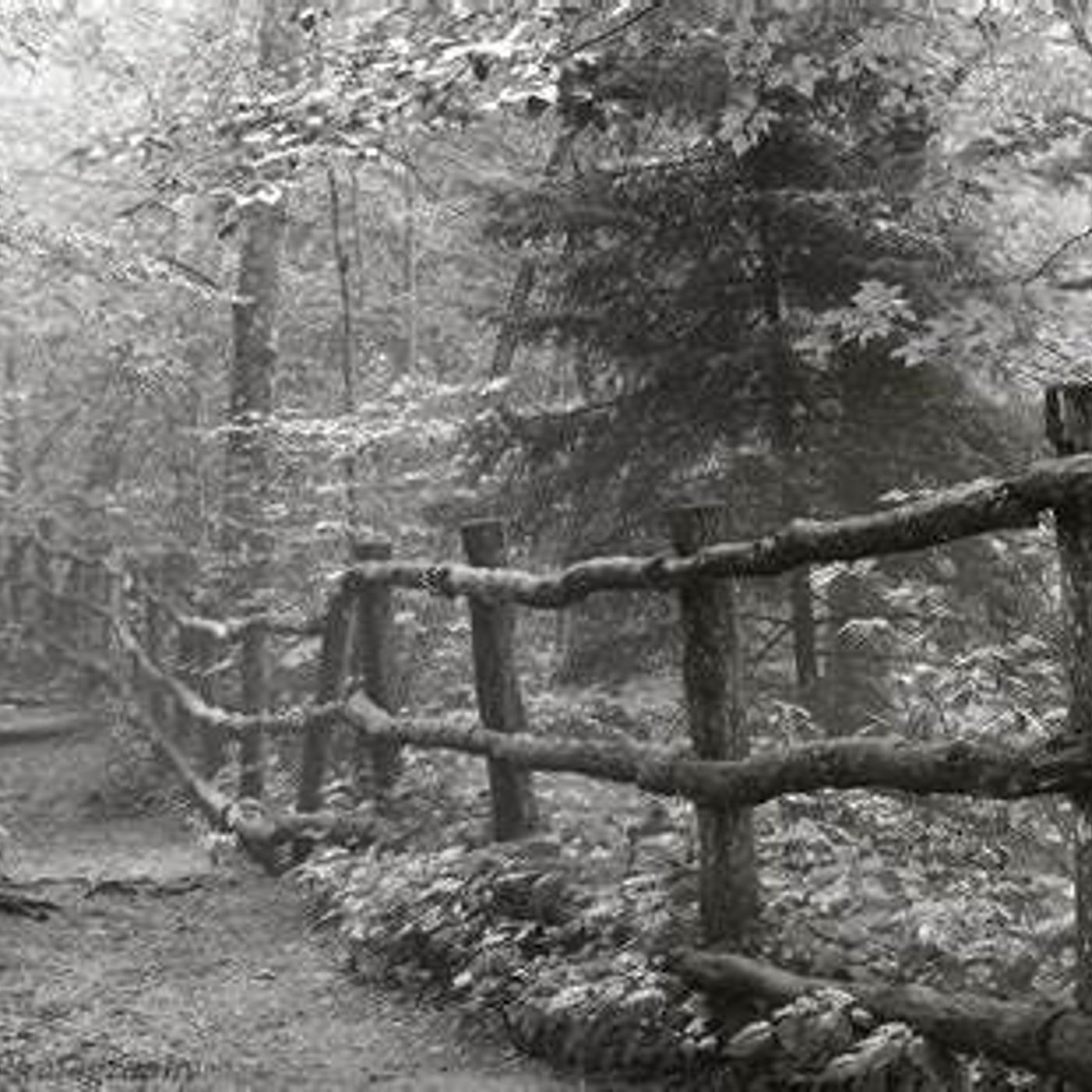 Appalachian Ghost Stories and Legends
