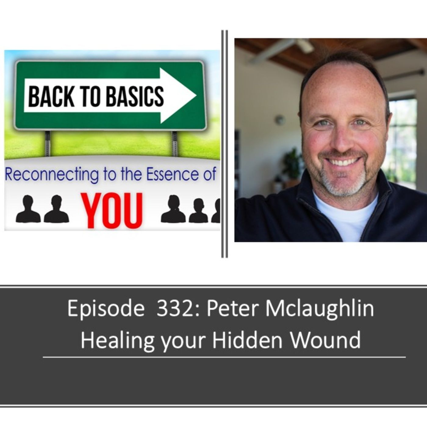 E332: Peter Mclaughlin- Healing the Hidden wound — Back2Basics: Reconnecting to the essence of YOU cover