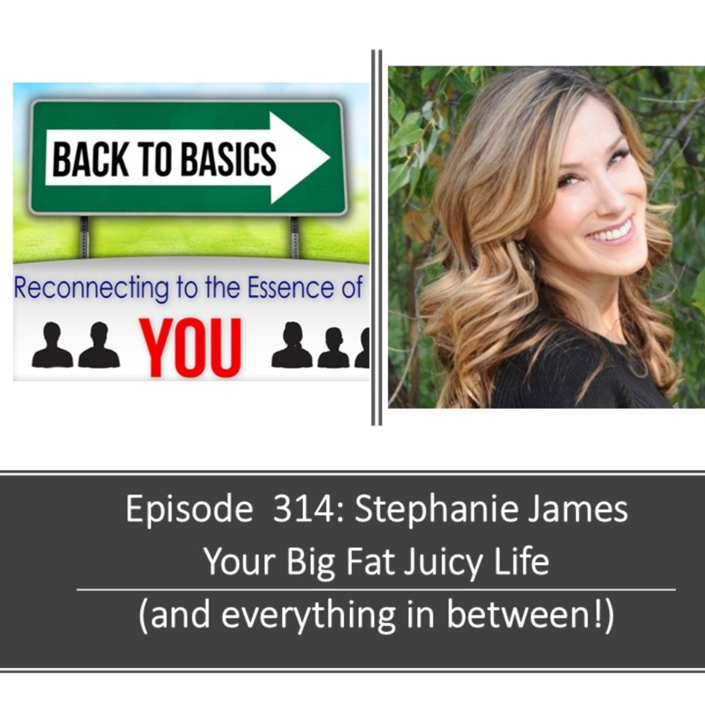 E314: Stephanie James: Your big Fat Juicy Life (and everything After)