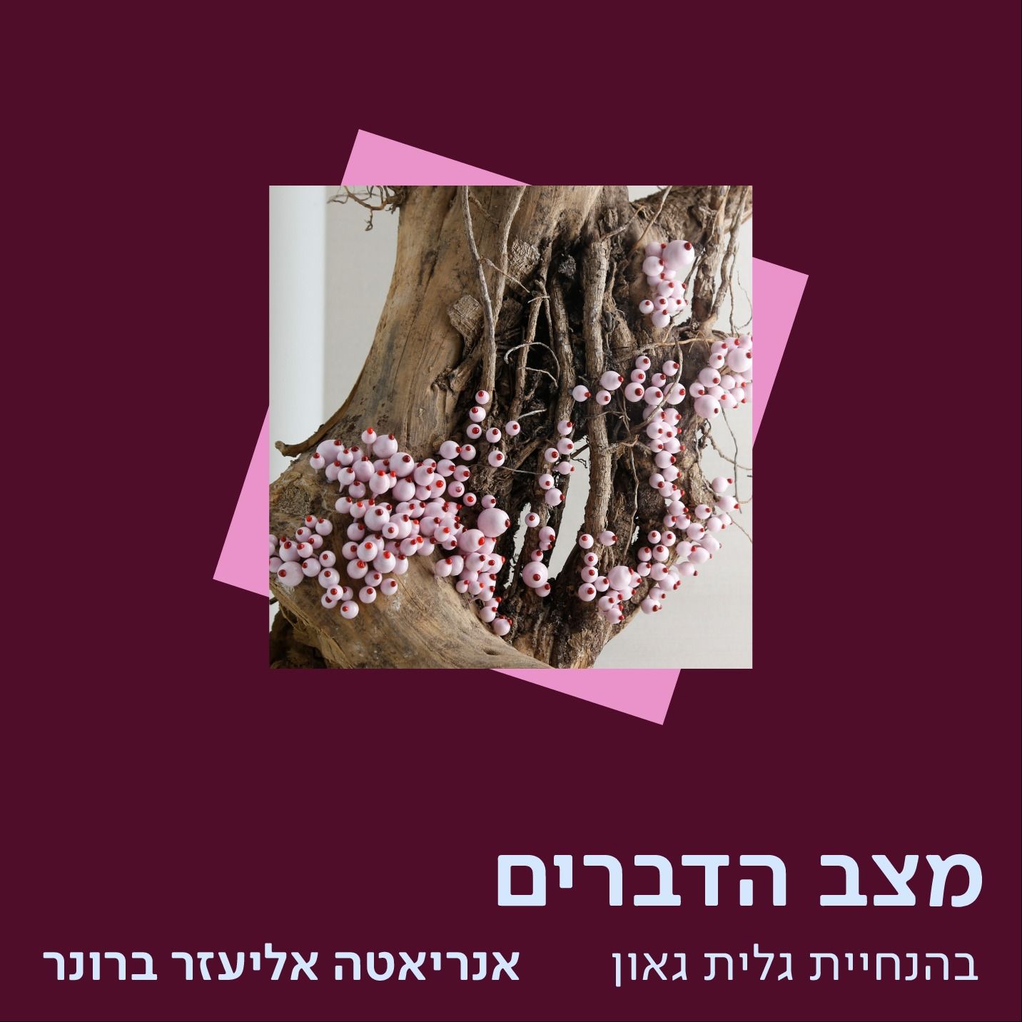 אנריאטה אליעזר ברונר – אוצרות של אוסף