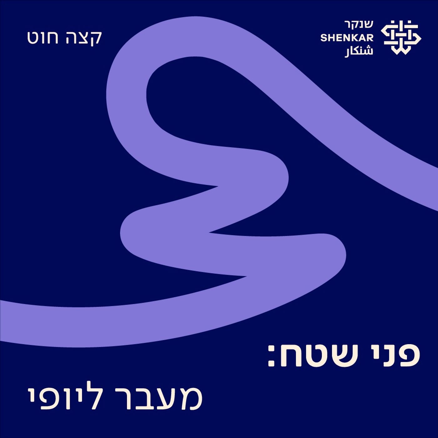 9. פני שטח: מעבר ליופי 9. פני שטח: מעבר ליופי