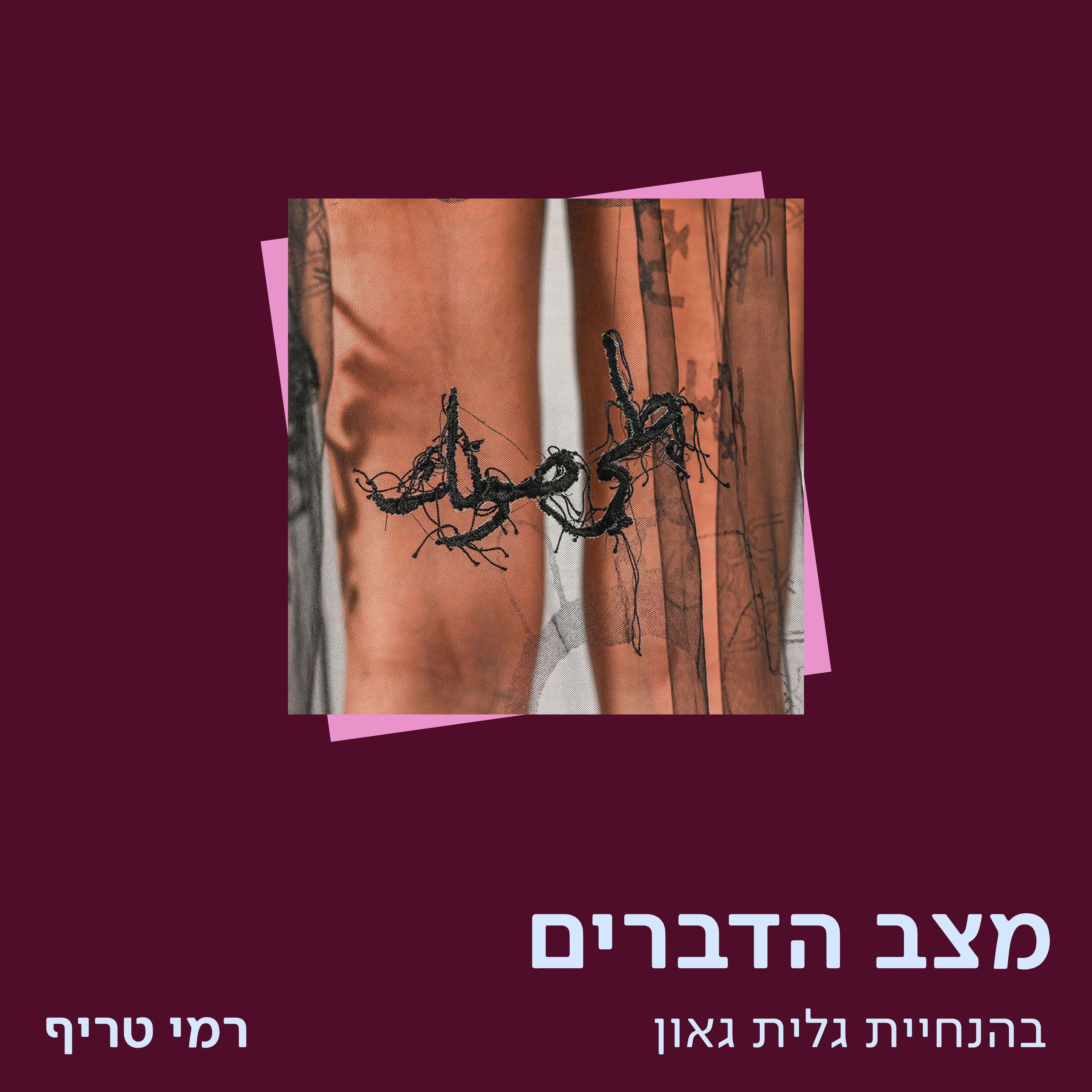 רמי טריף – תפקידו של המוזיאון בחברה episode artwork