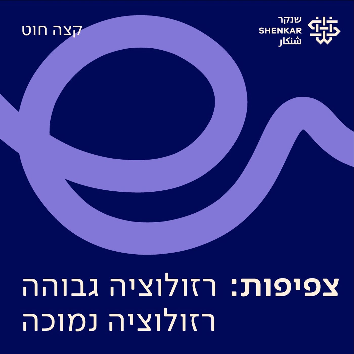 4. צפיפות: רזולוציה גבוהה, רזולוציה נמוכה 4. צפיפות: רזולוציה גבוהה, רזולוציה נמוכה