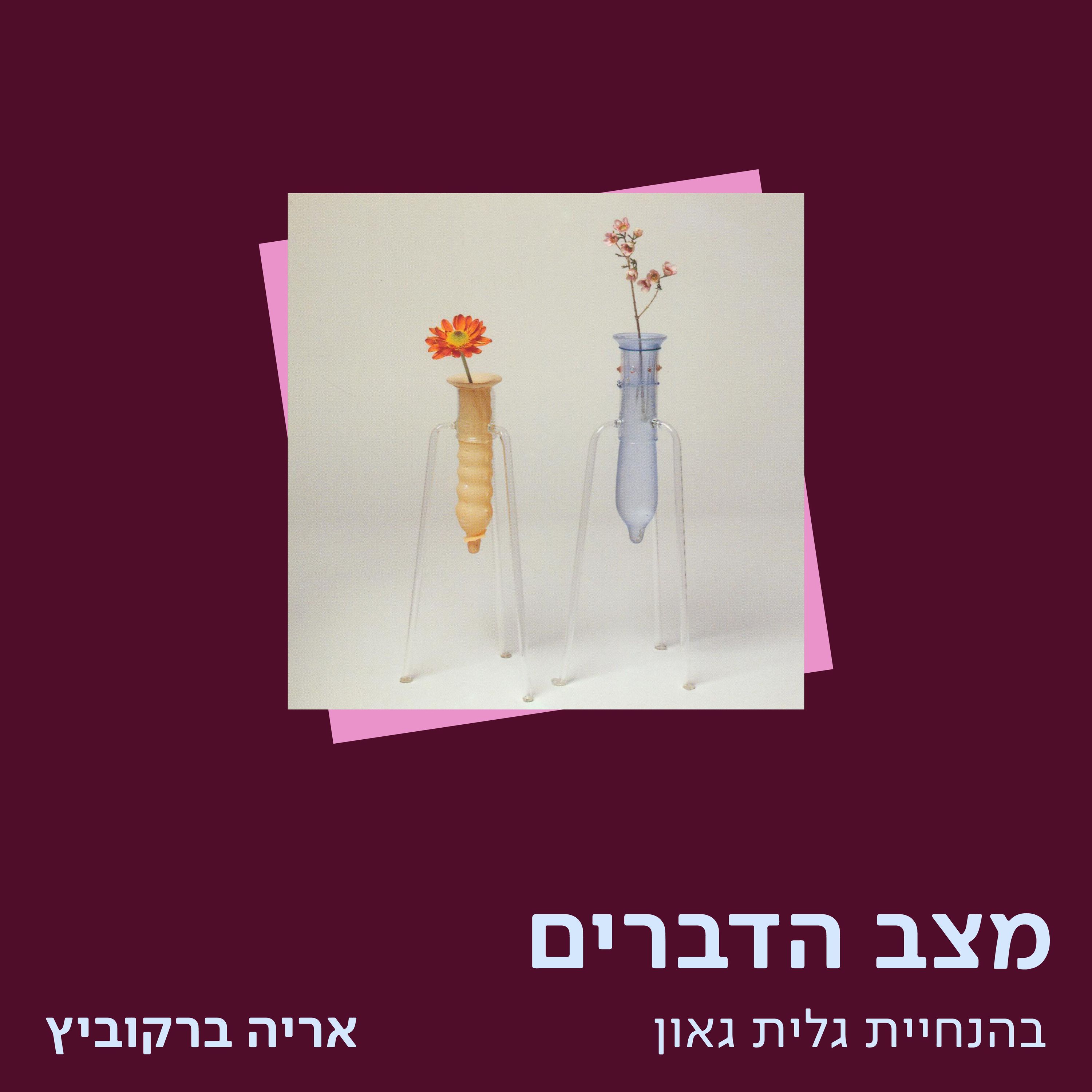 אריה ברקוביץ – שדה העיצוב השנקינאי באייטיז episode artwork