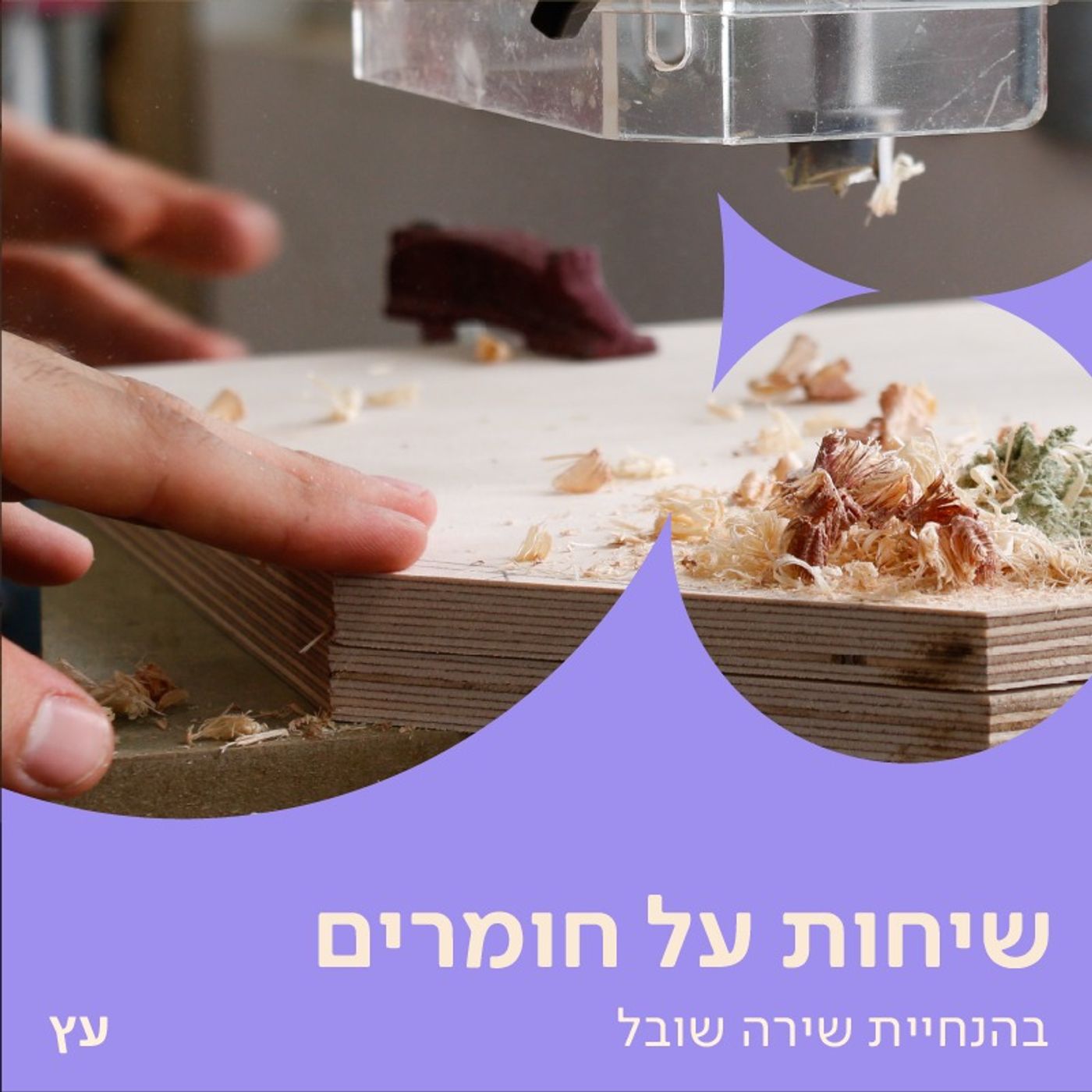מקלות תמיד נצטרך – שיחה על עץ עם אלון ליכטבלאו