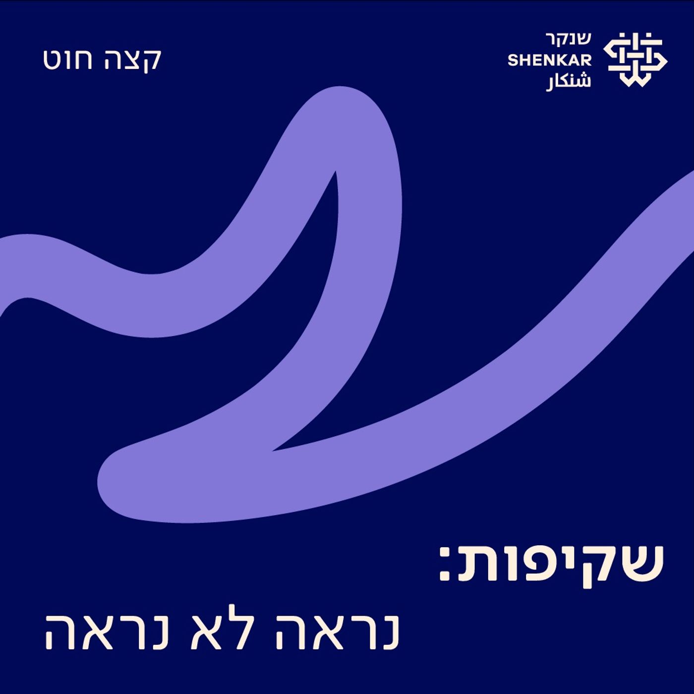 5. שקיפות: נראה לא נראה 5. שקיפות: נראה לא נראה