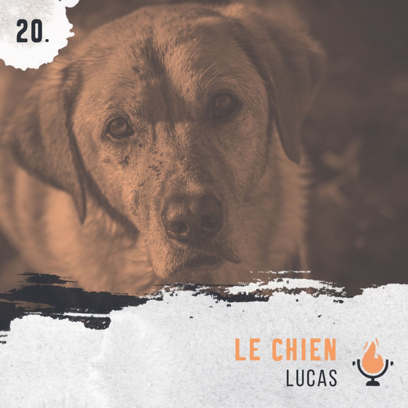 Le Chien Le Chien