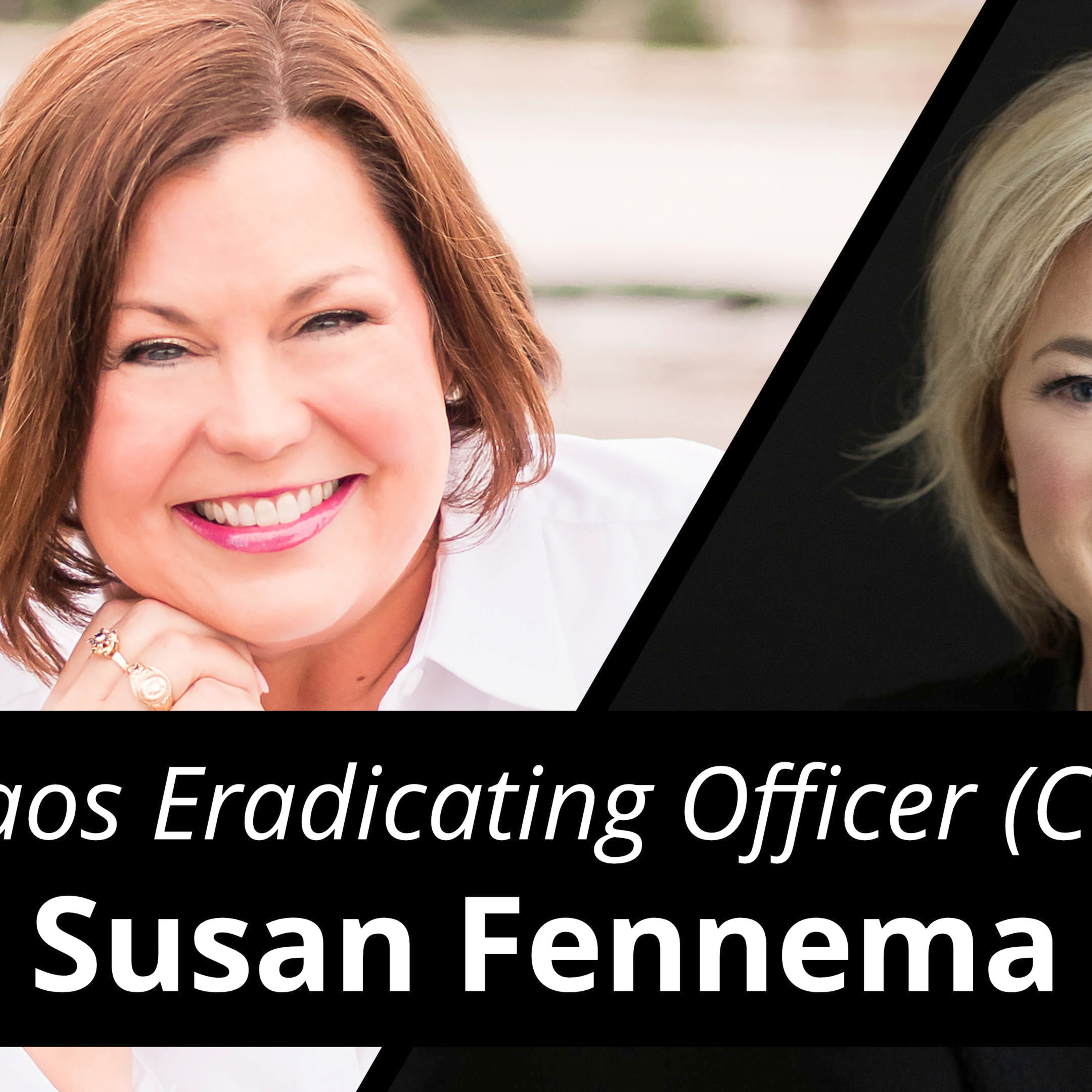 Move BEYOND THE CHAOS in Your Business with Susan Fennema