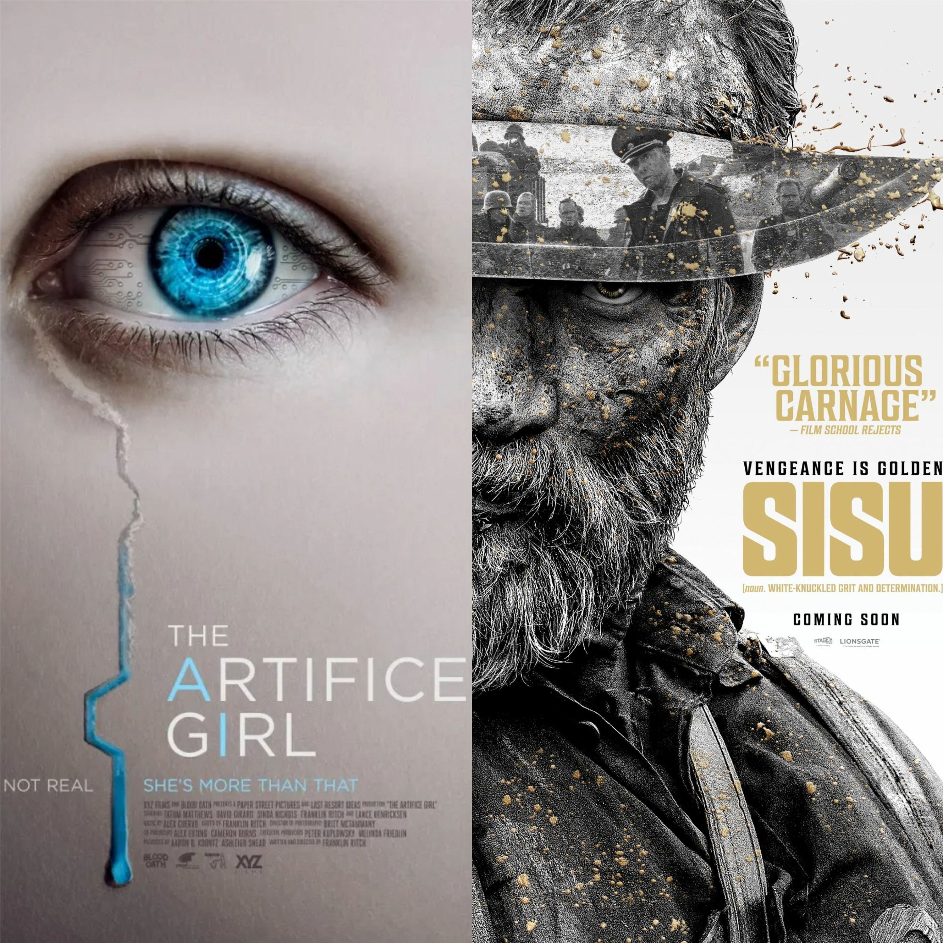 The Artifice Girl, Sisu