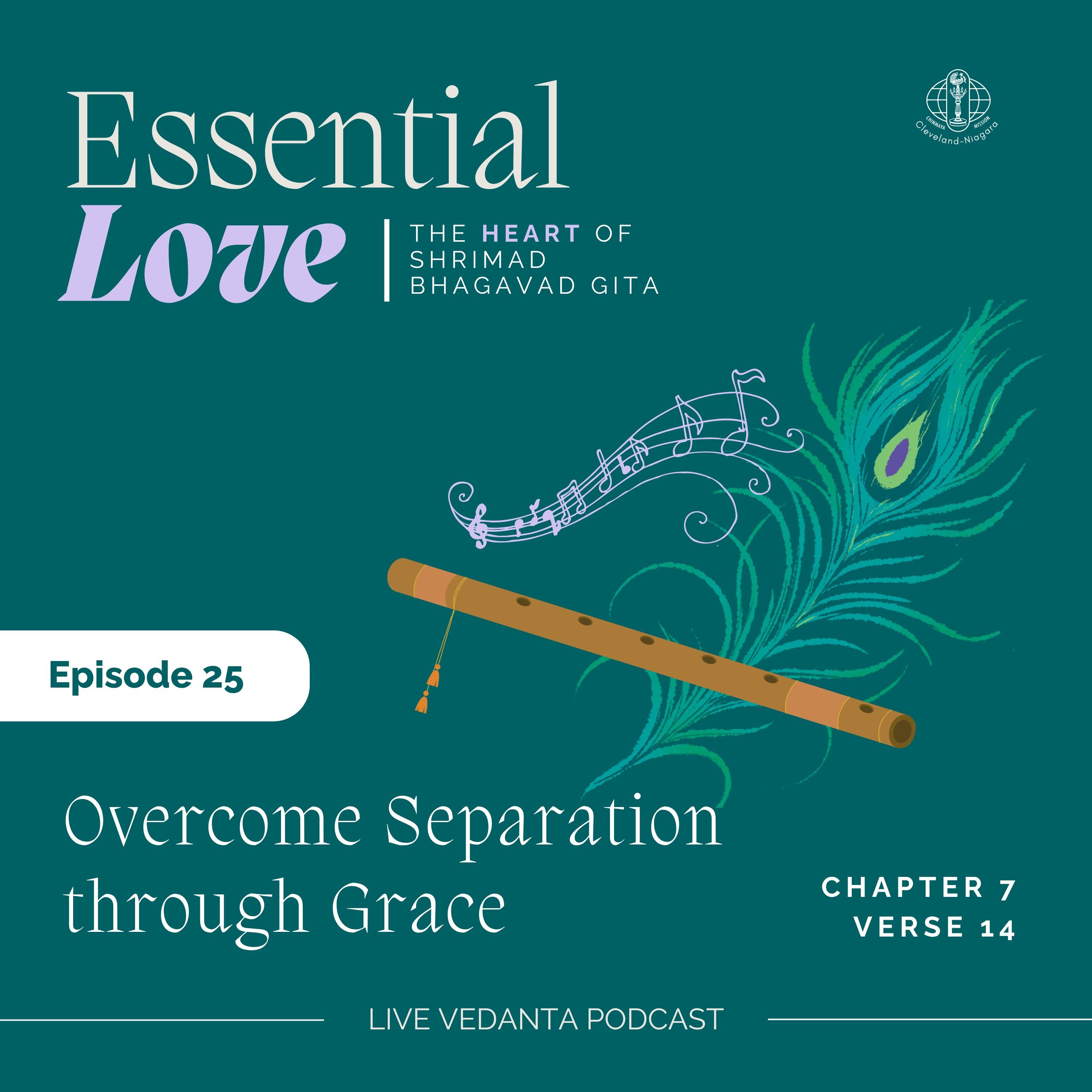 Artwork for Live Vedanta
