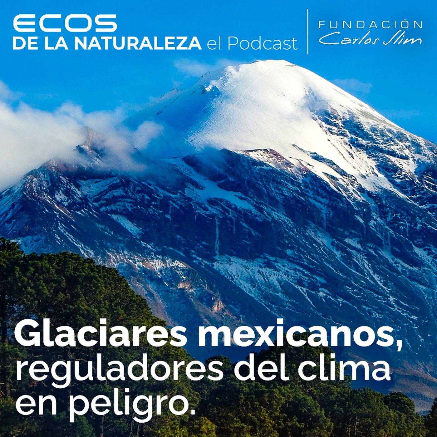 Glaciares mexicanos, reguladores del clima en peligro” Episode #14