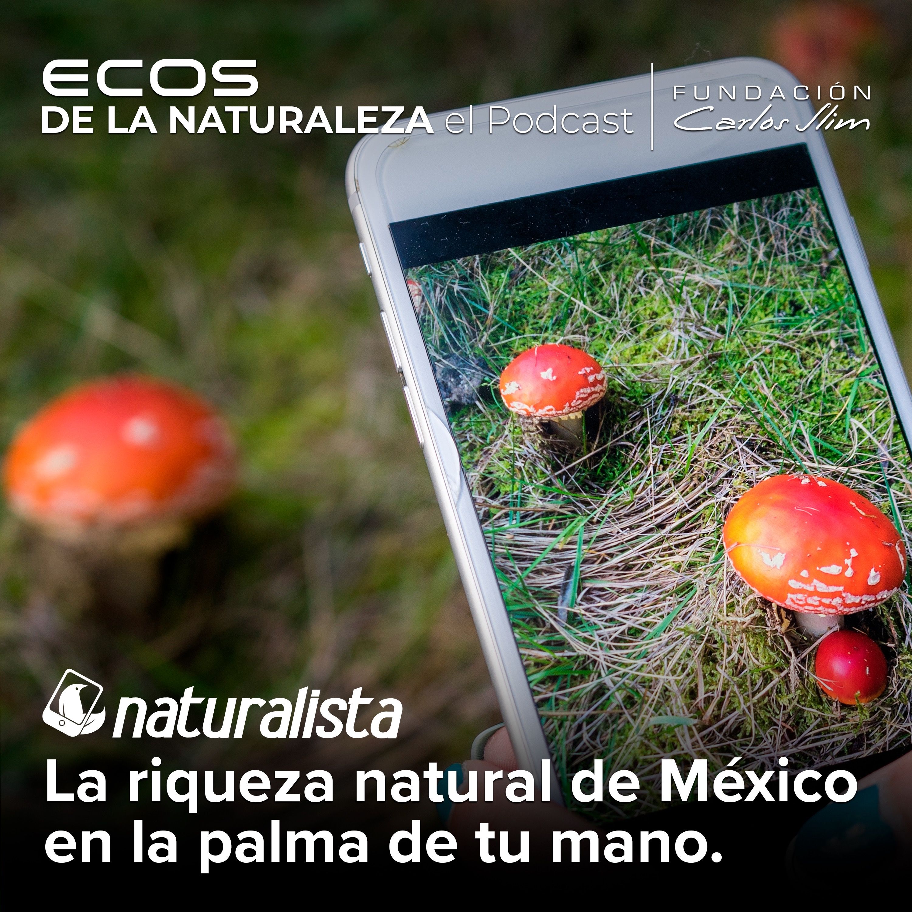 "Naturalista, la riqueza natural de México en la palma de tu mano”  Episode #9