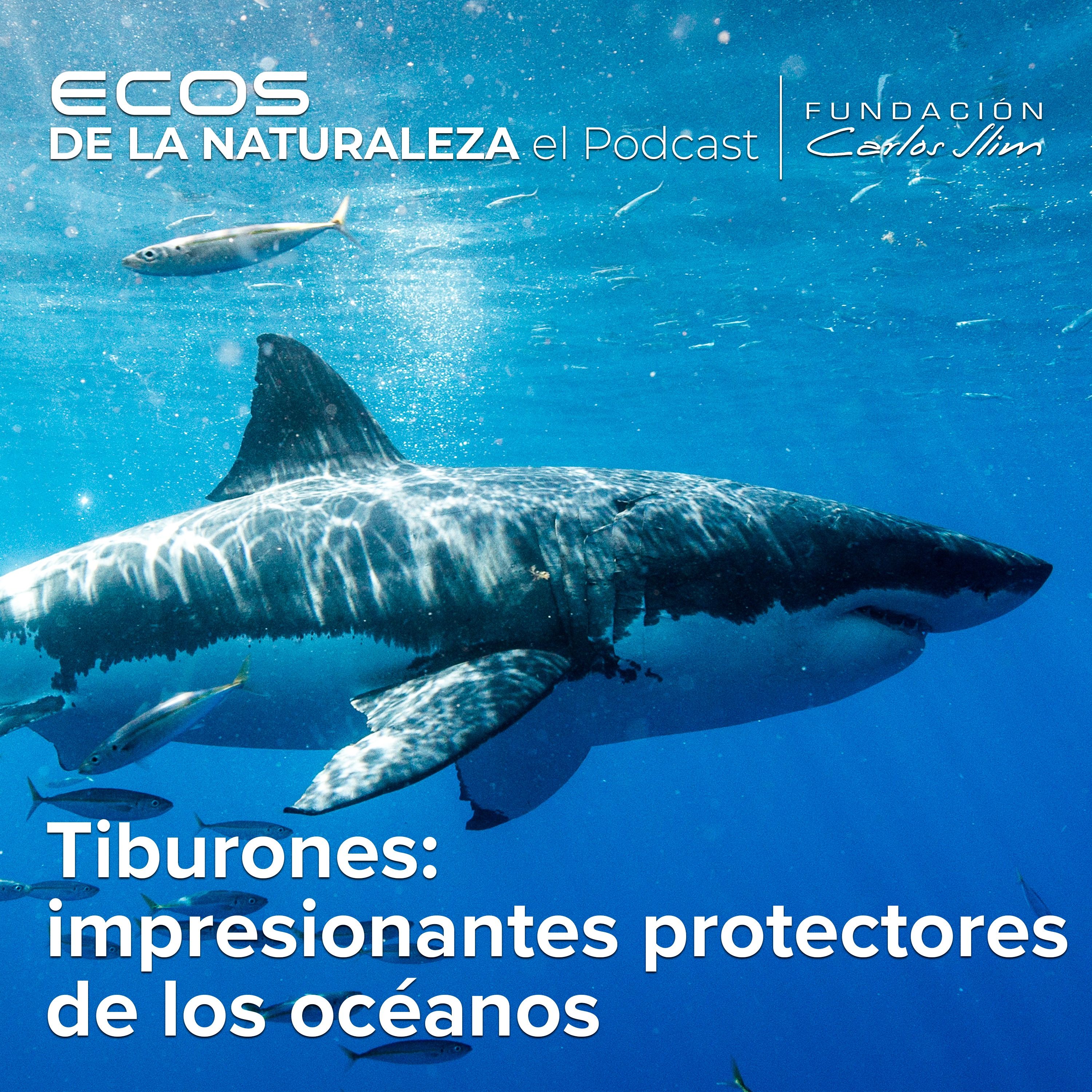 Ecos de la Naturaleza