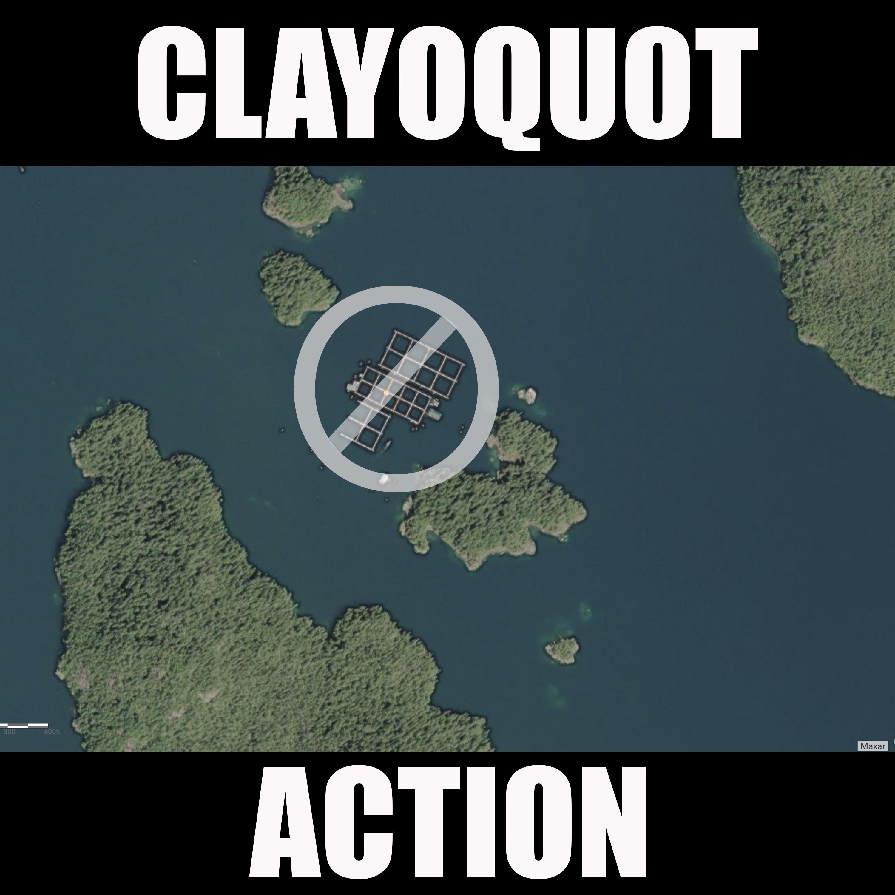 CLAYOQUOT ACTION episode artwork