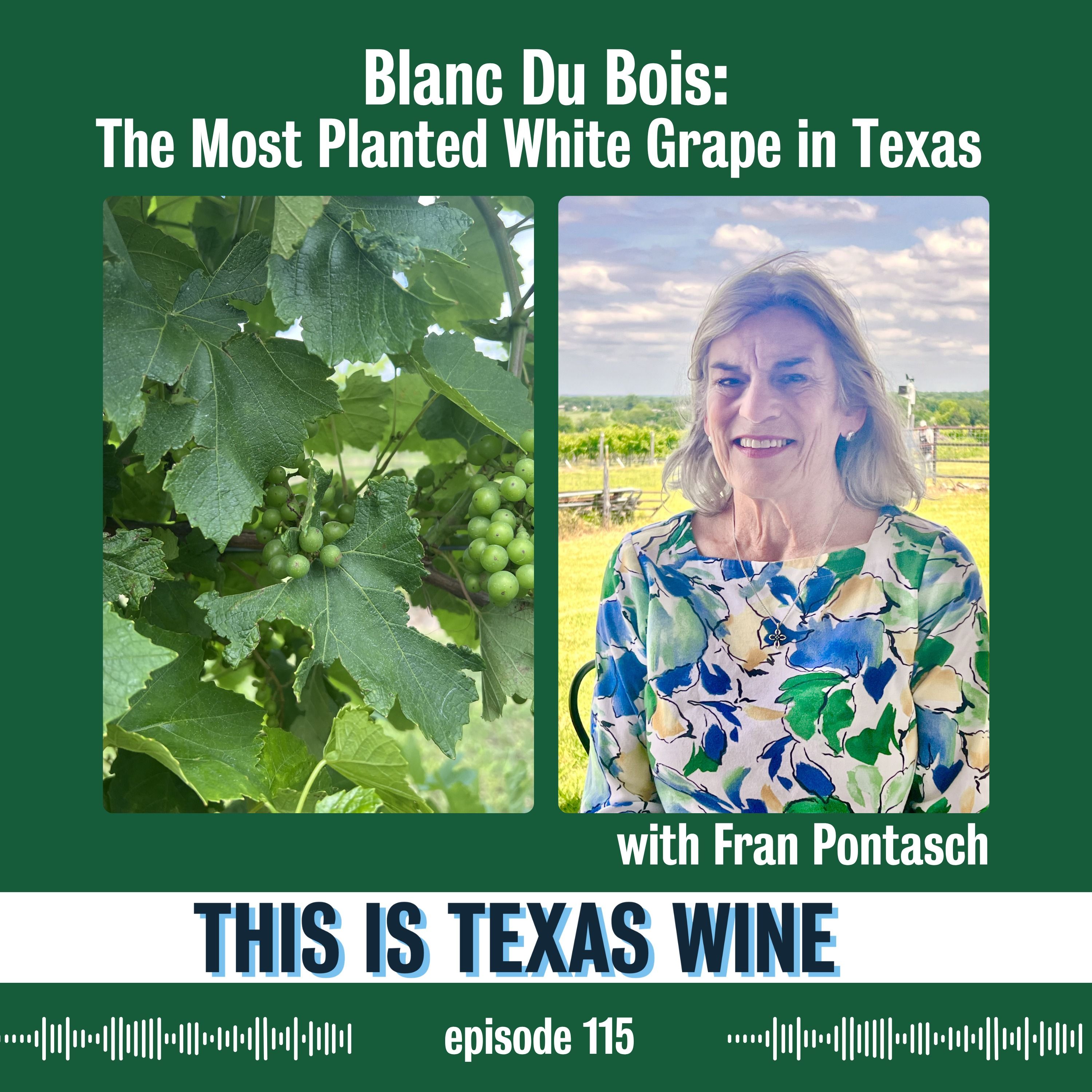 Blanc Du Bois: The Most Planted White Grape Variety in Texas with Fran Pontasch